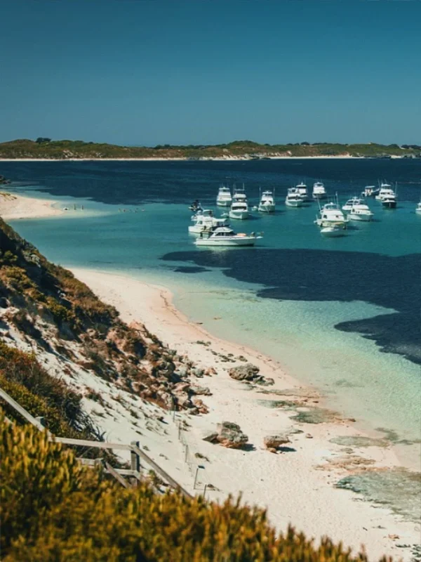 2025澳洲玩🔥绝对不踩坑旅游攻略❗️❗️❗️