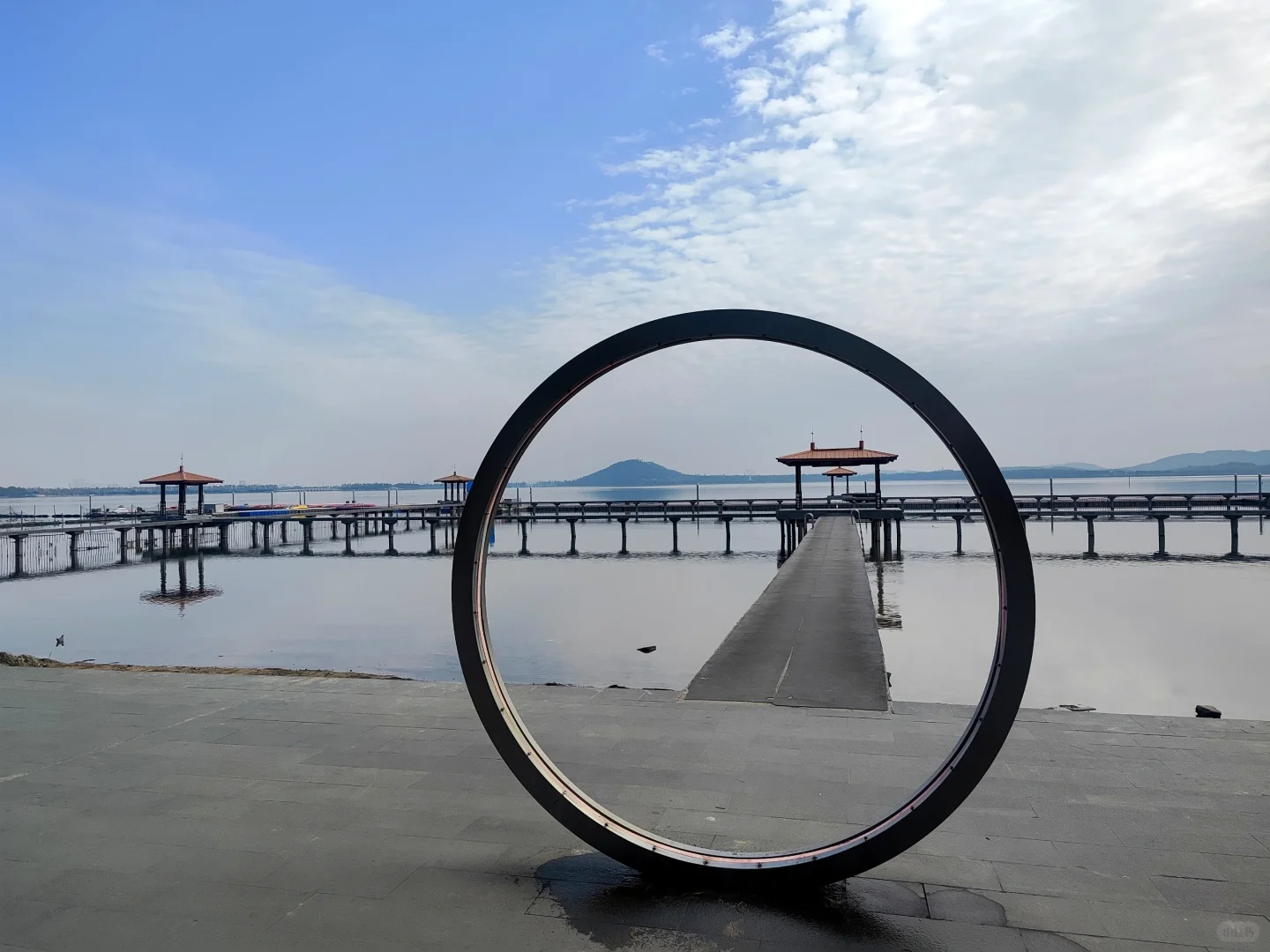 东湖听涛景区的梅花开了,免费!