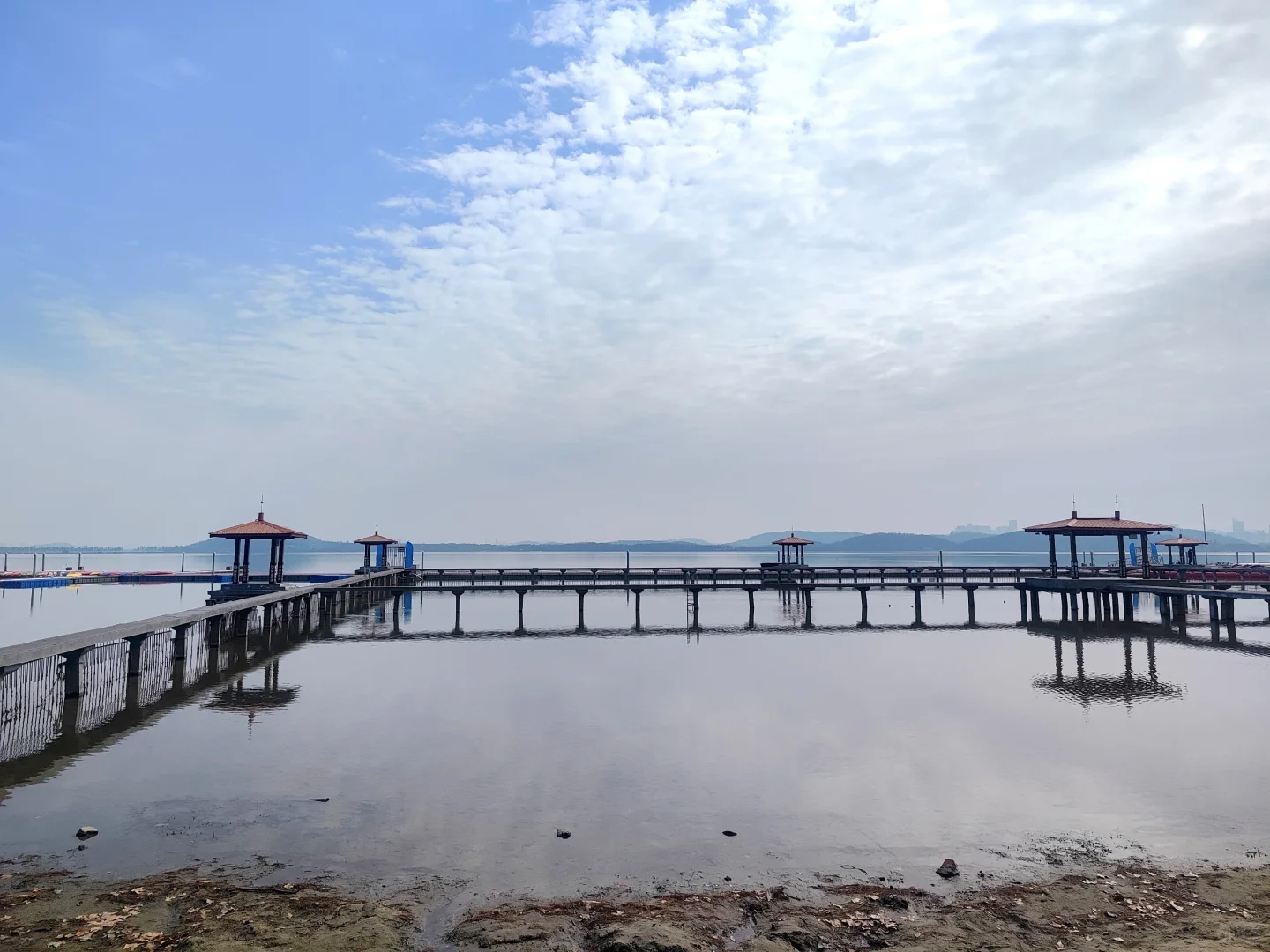 东湖听涛景区的梅花开了,免费!