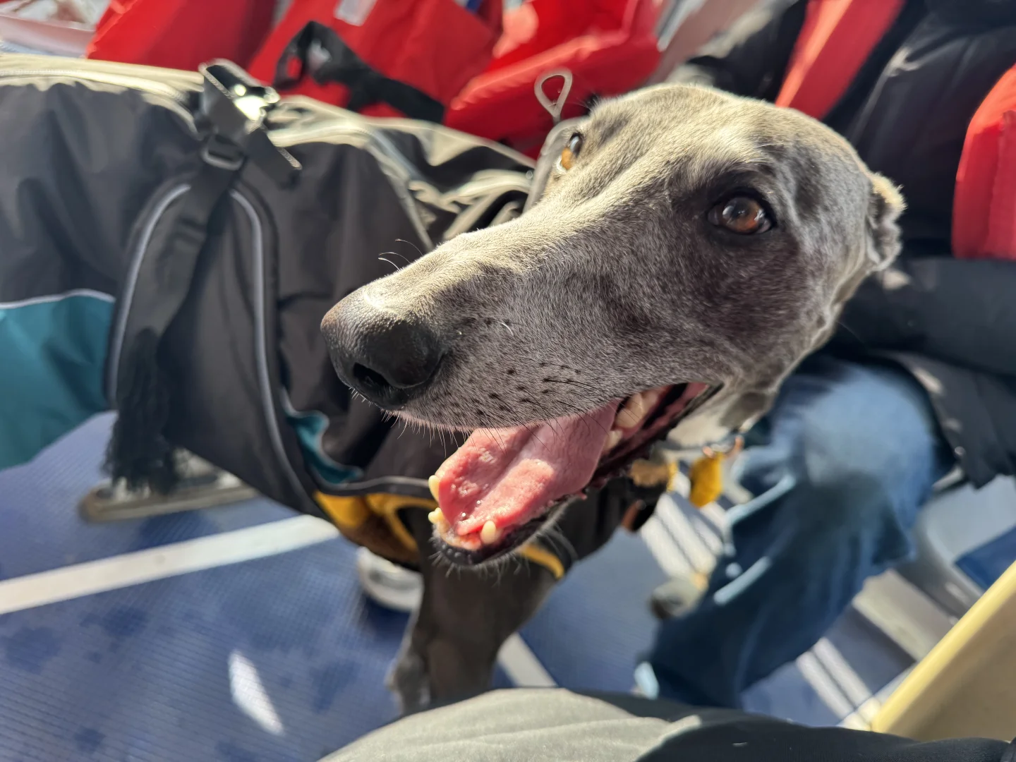 进山遇湖，见山不见人，京娘湖！