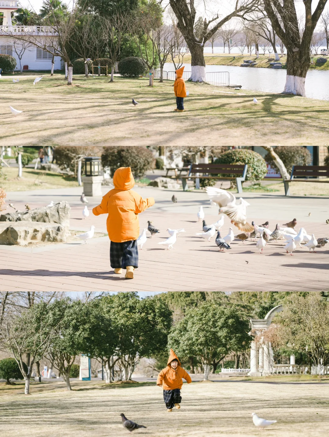 比起音乐台的鸽子，南京本地人更爱去这里