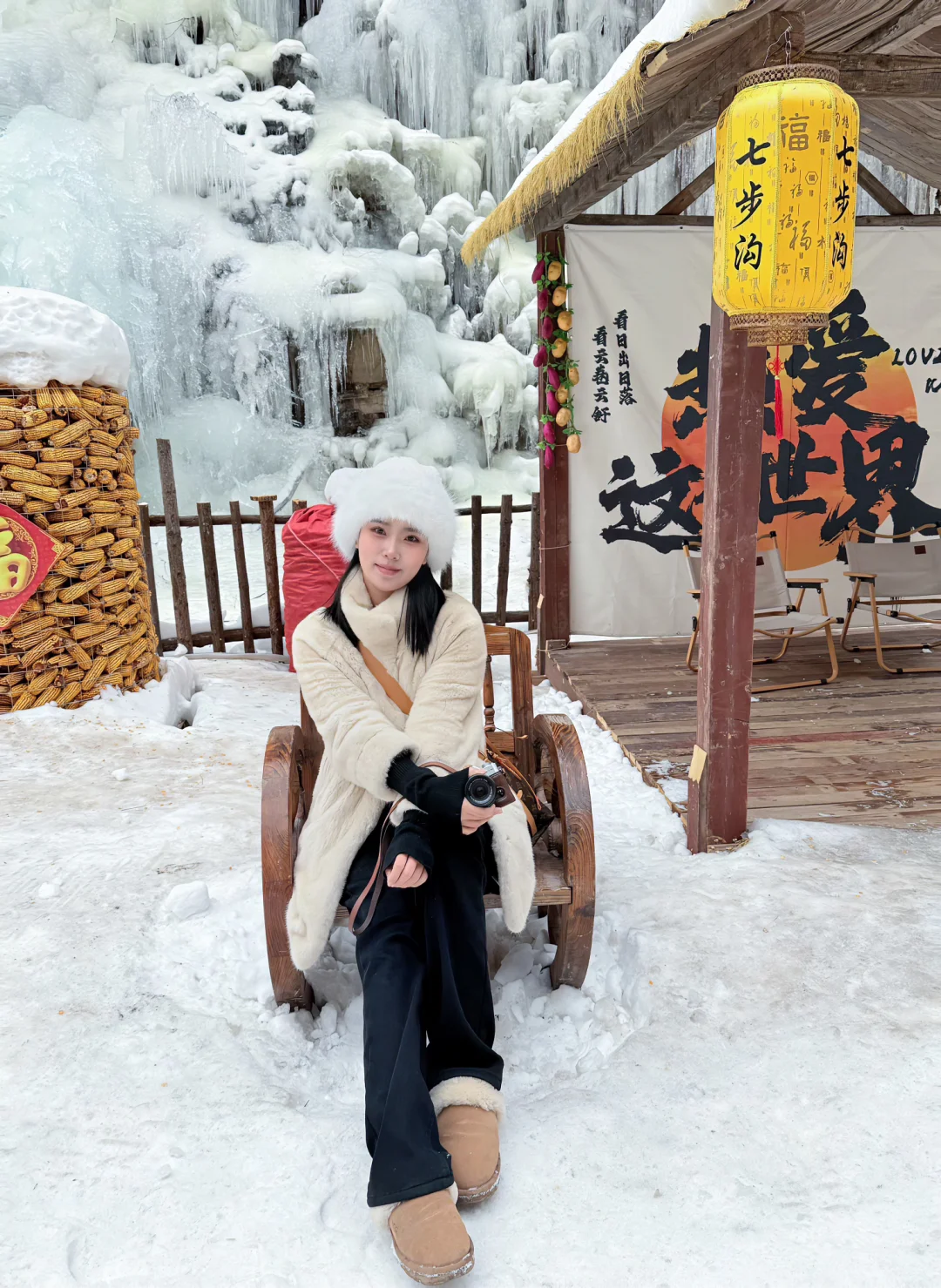 邯郸| 七步沟玫瑰♥️爱心冰挂！梦幻极了🧊