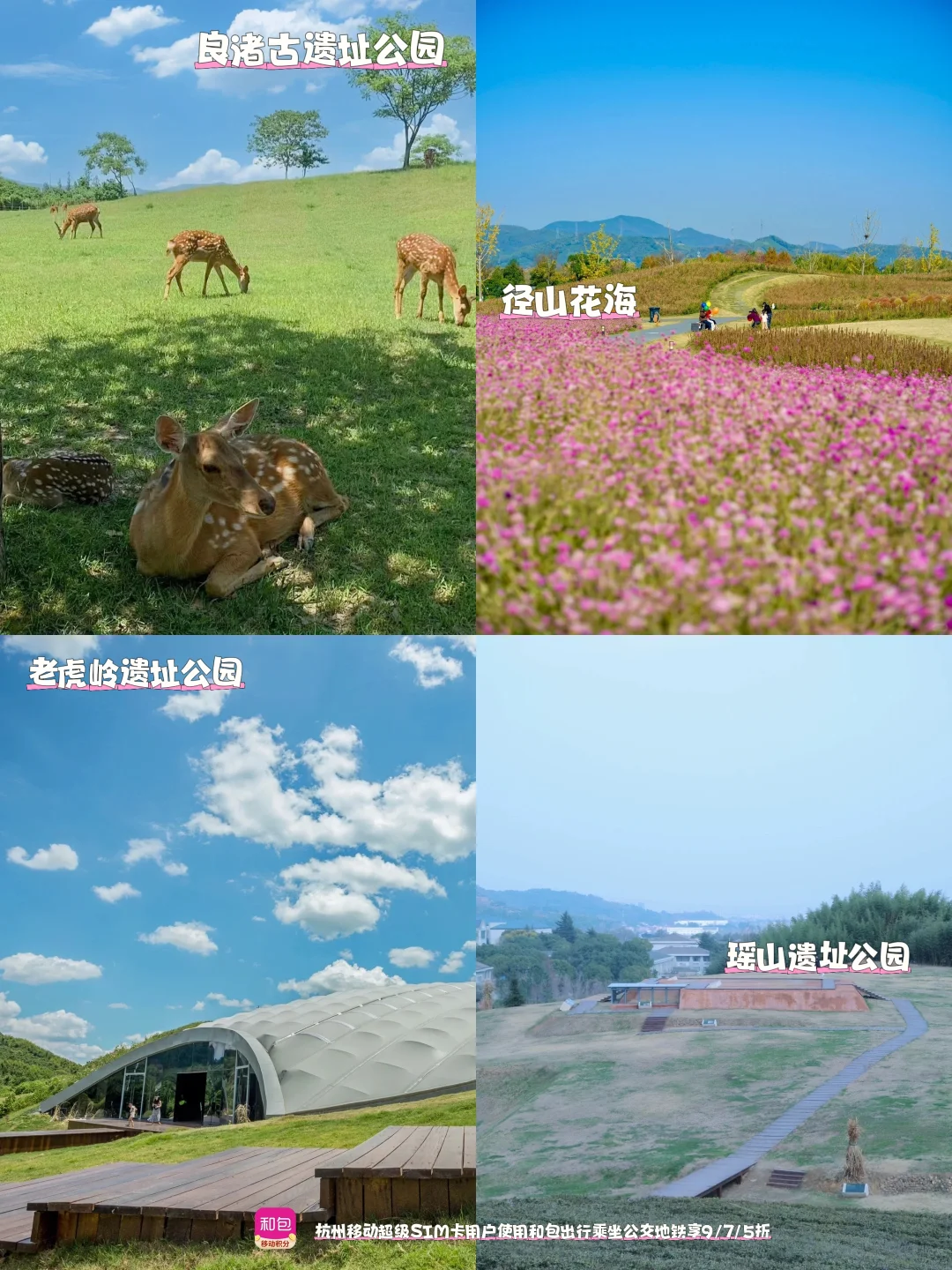 🎉2025浙江好多景点免门票啦🎉