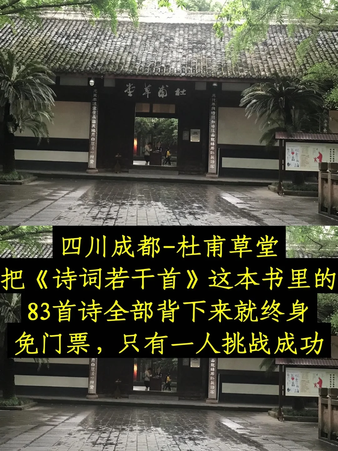 带着古学去旅行