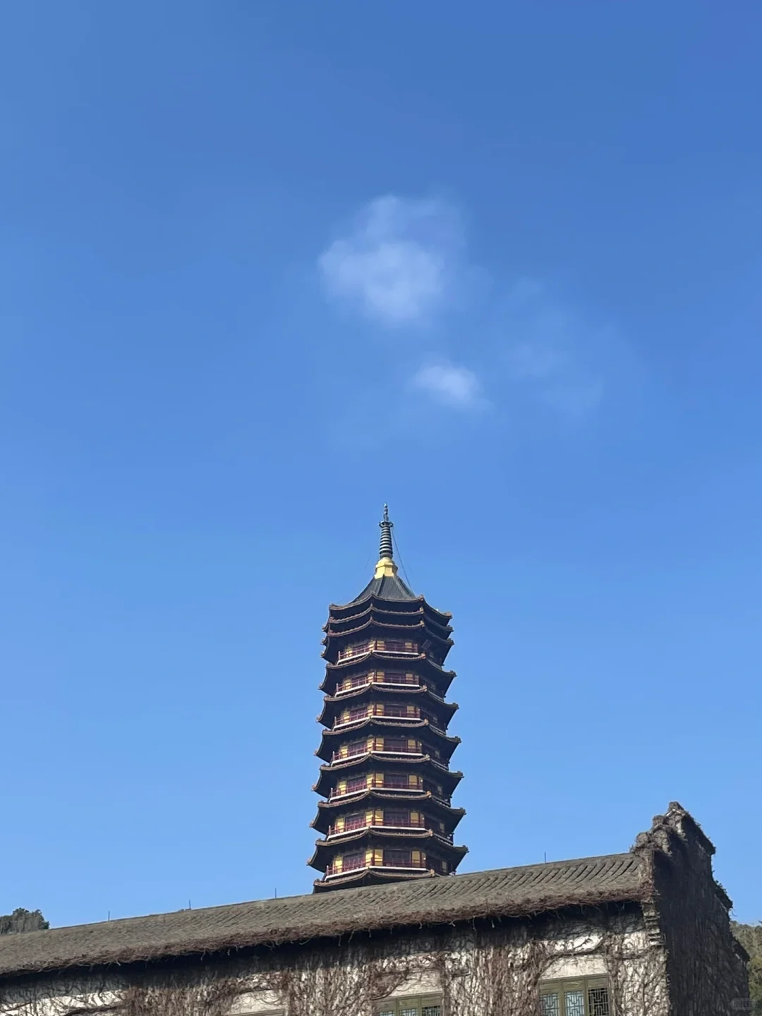 🙏普陀山不早起暴走攻略｜7h解锁精华景点✅