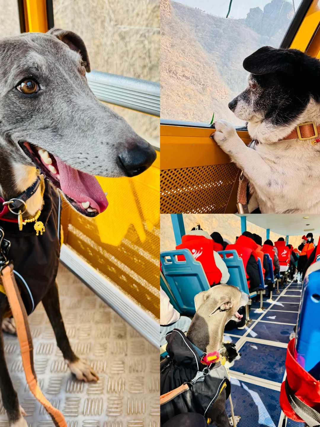 进山遇湖，见山不见人，京娘湖！