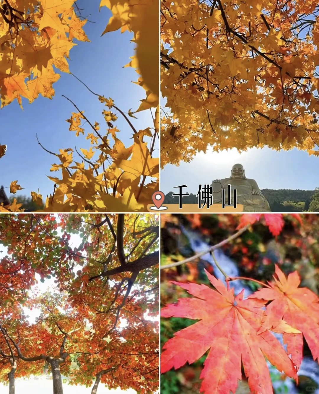 济南旅游攻略来喽！！！