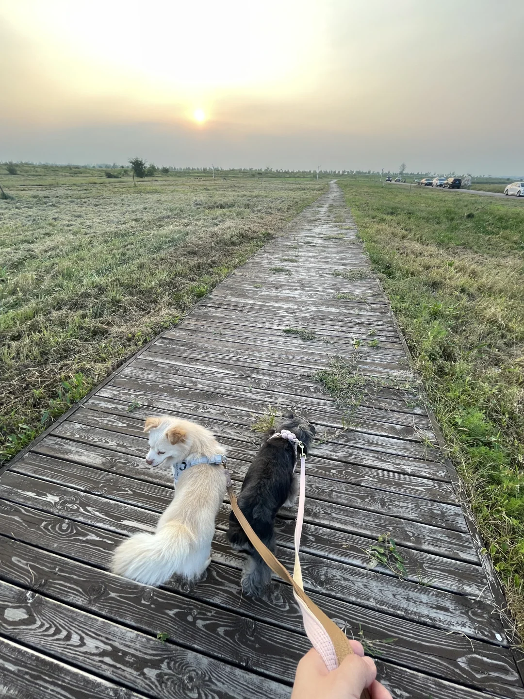 石家庄及周边宠物友好景区（新增龙泉古镇）
