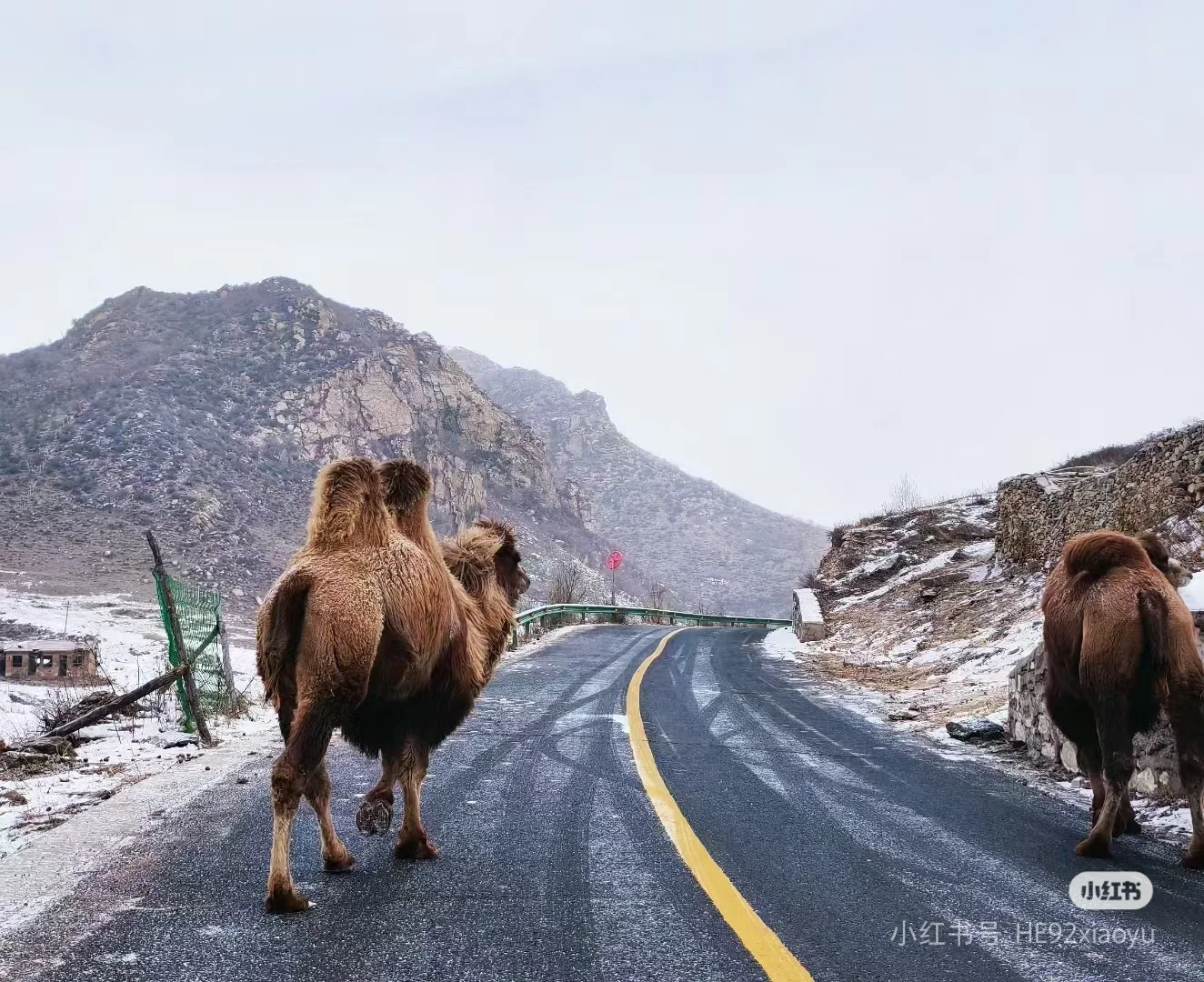 本地人强推！呼和浩特包车打开小众景点
