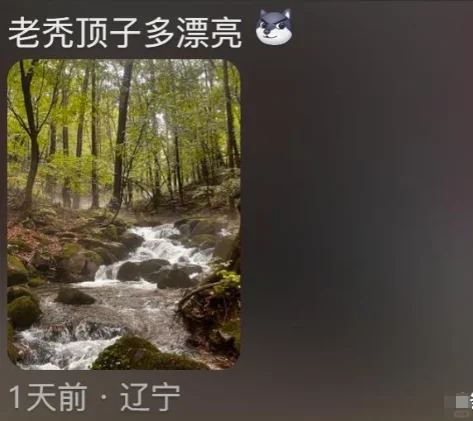 终于知道东北景点都不宣传的原因了哈哈哈