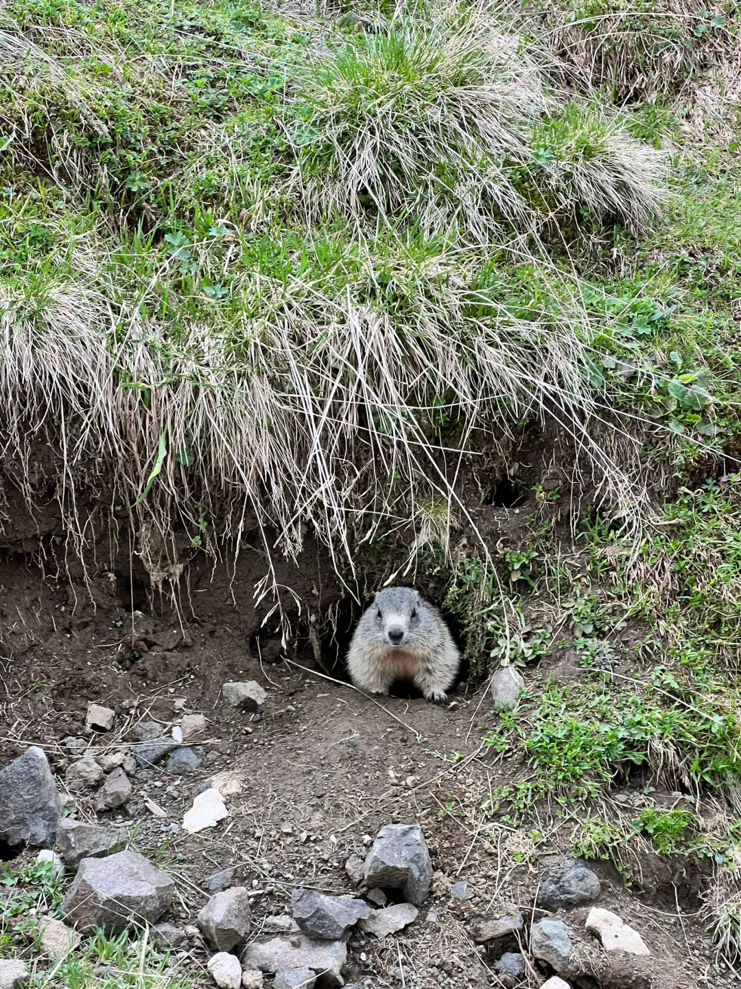 🇮🇹多洛米蒂3天2夜入门级徒步行程