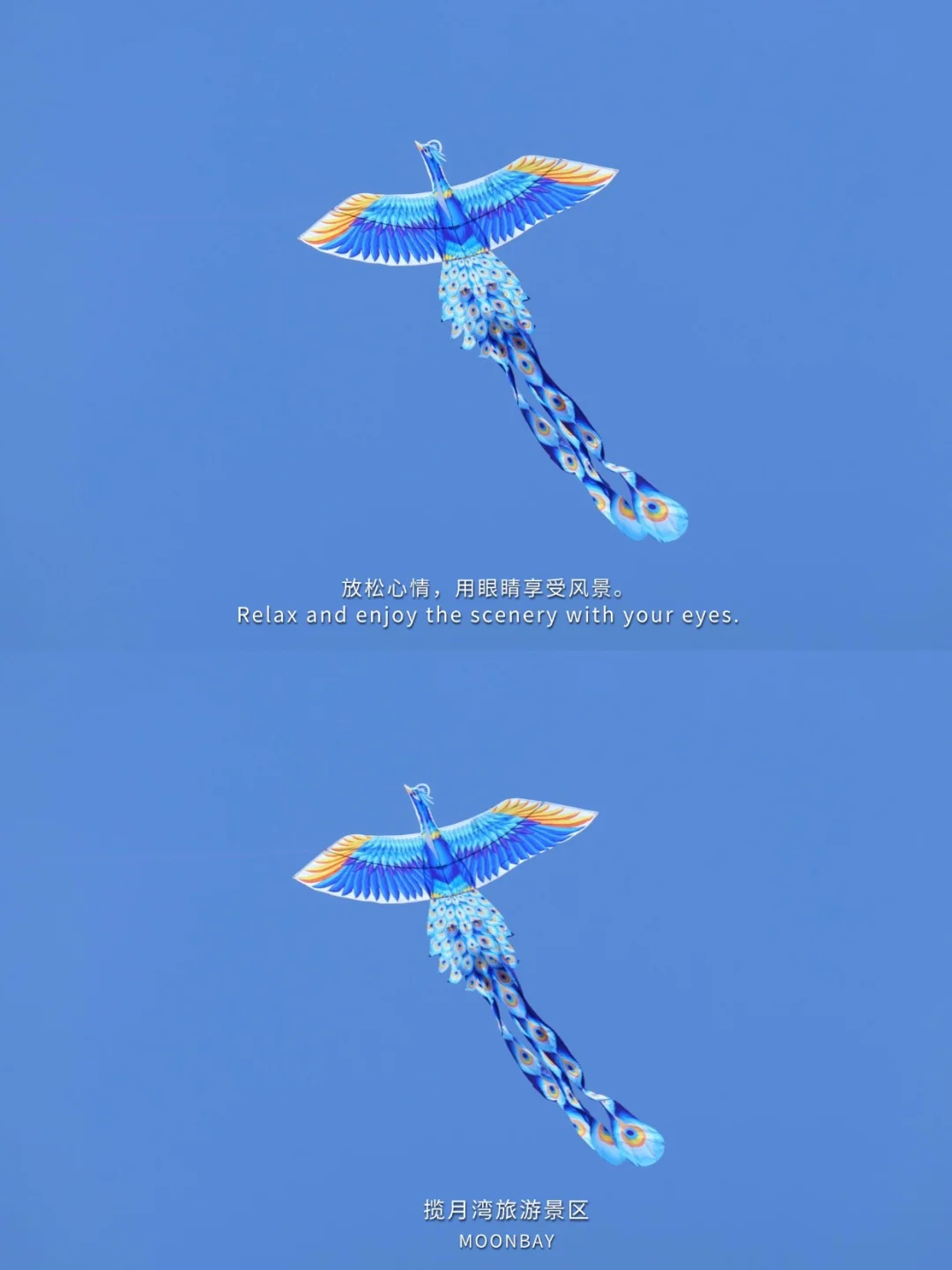 曹妃甸揽月湾放风筝好去处｜追风去！🪁