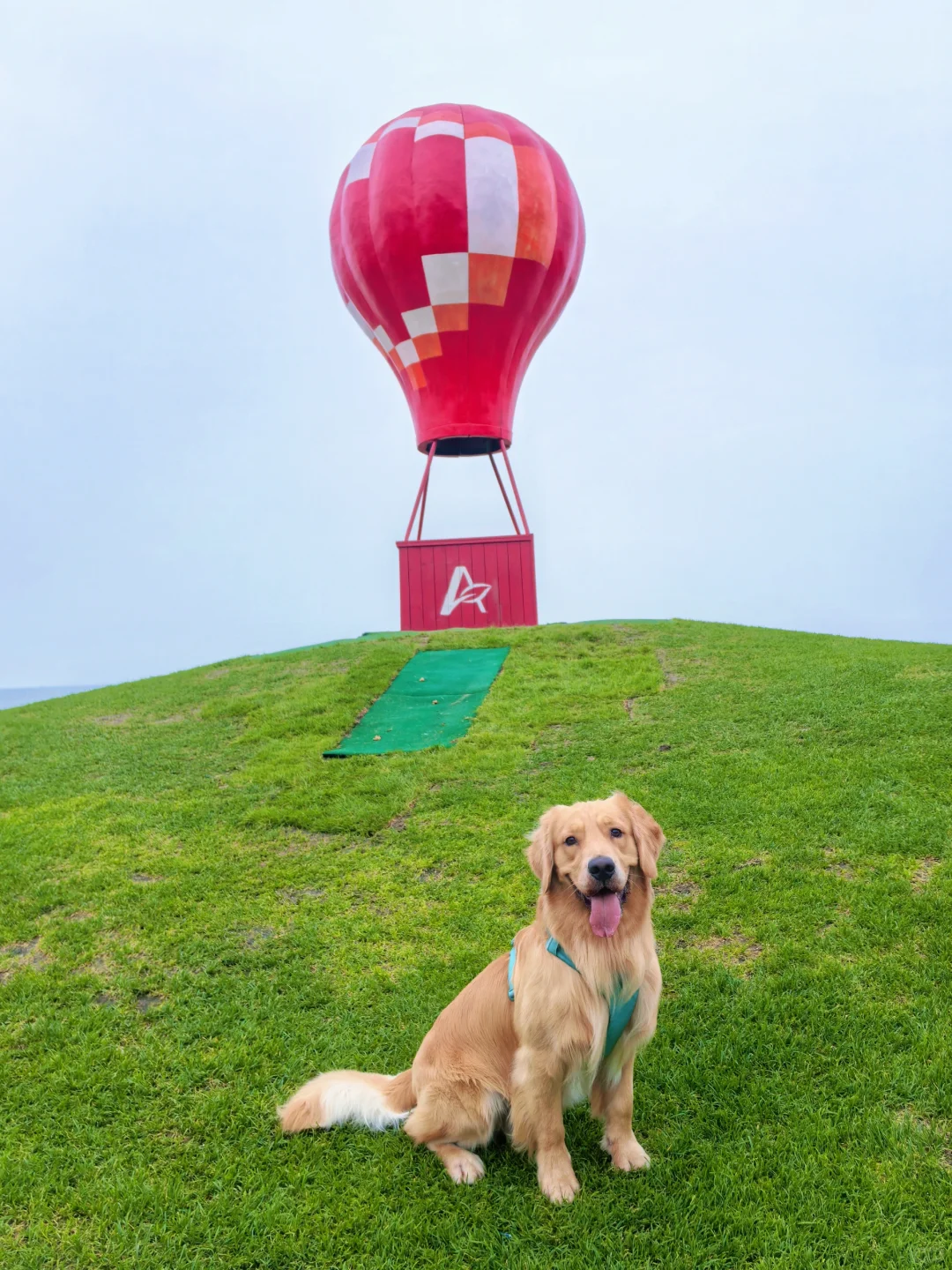 2024带狗狗去过的宠物友好城市景区（推荐）