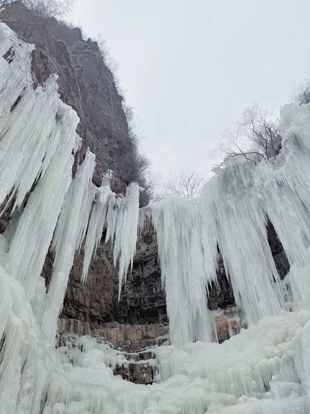 邯郸| 七步沟玫瑰♥️爱心冰挂！梦幻极了🧊