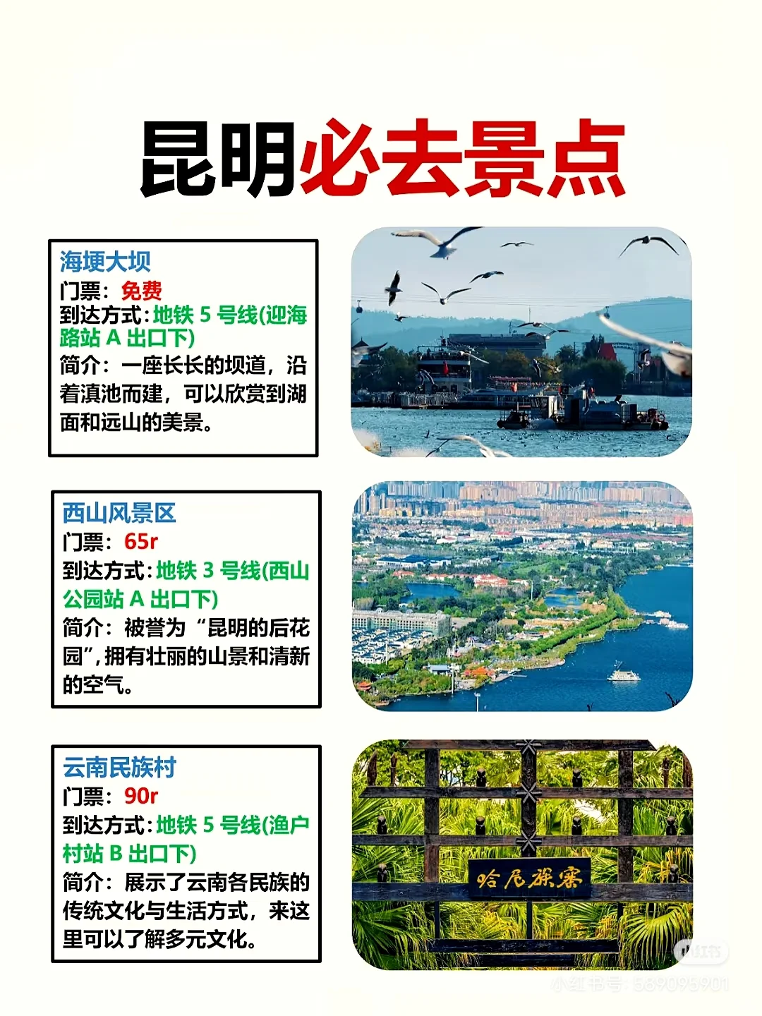 到昆明必去的景点