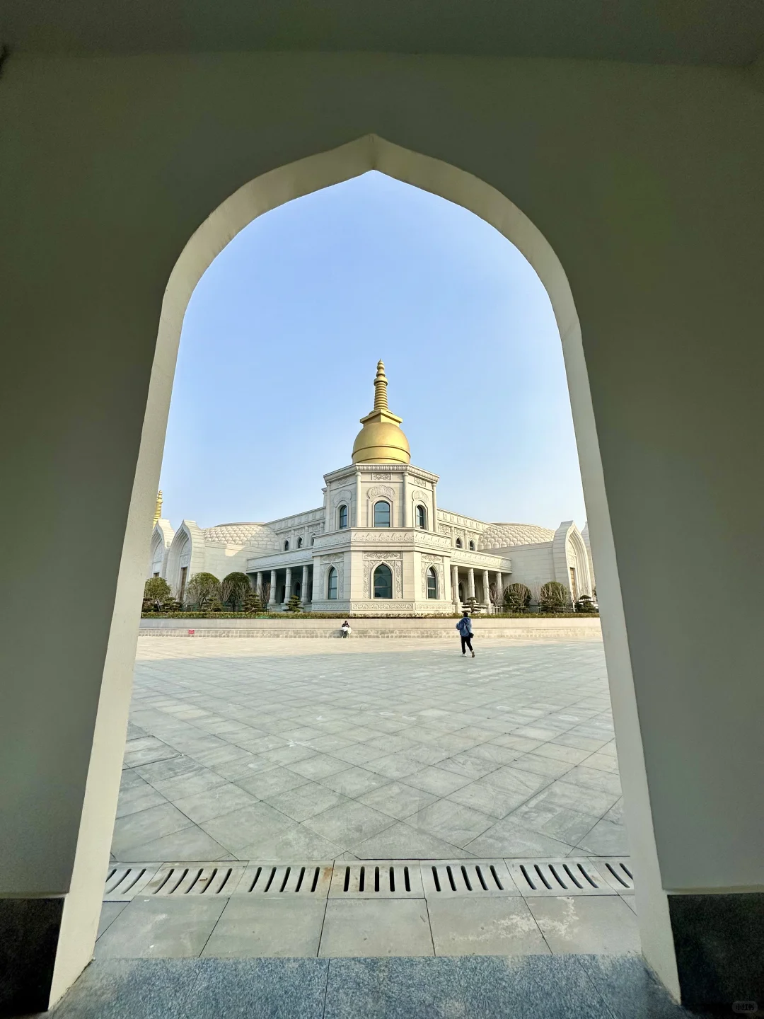 武汉这里🙏🏻!!!终于开了!!免费!!附live图!