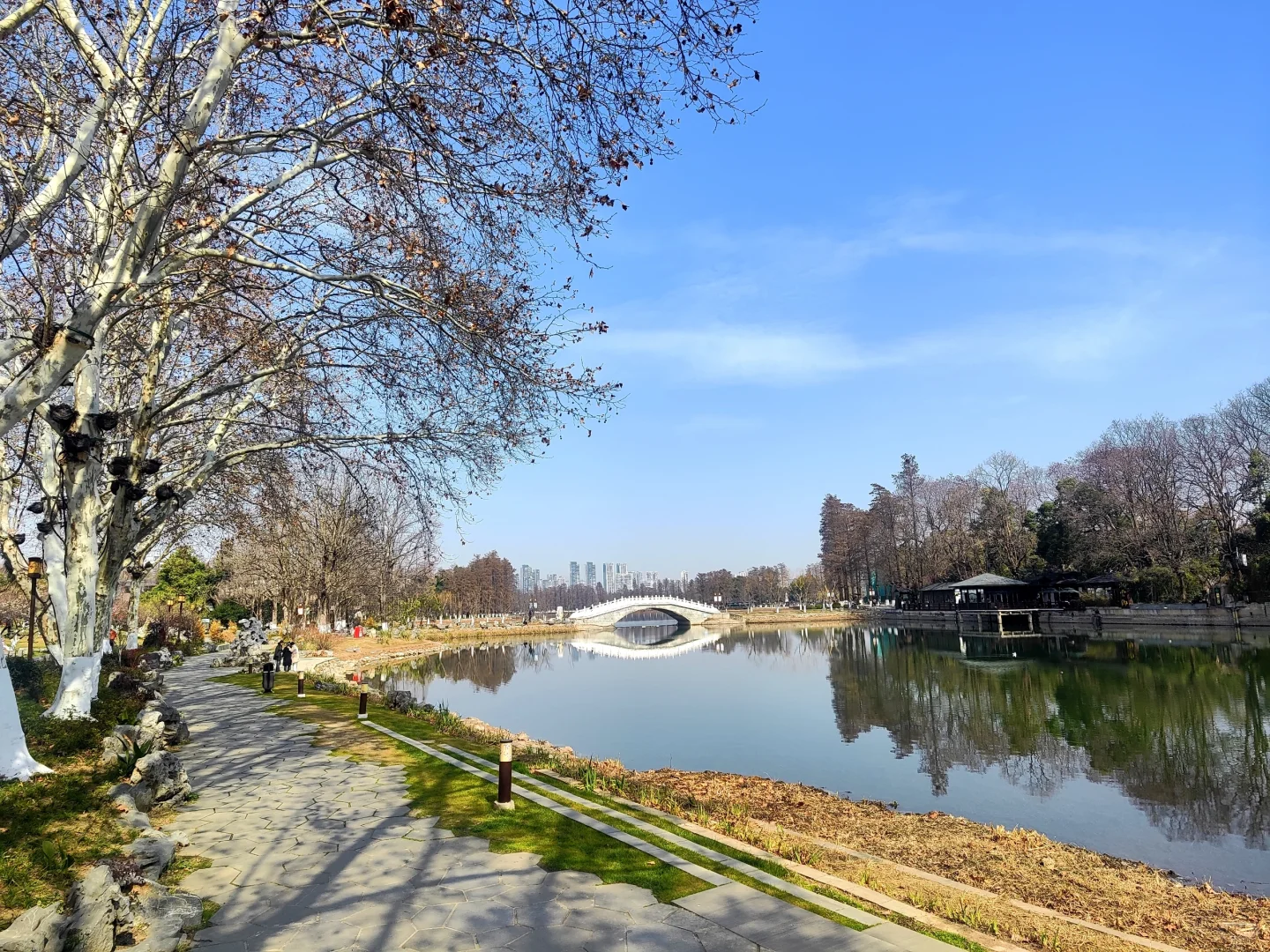 东湖听涛景区的梅花开了,免费!