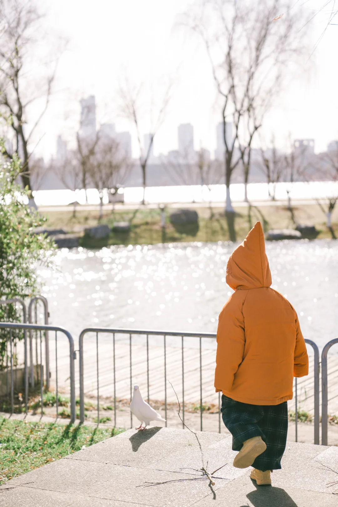 比起音乐台的鸽子，南京本地人更爱去这里