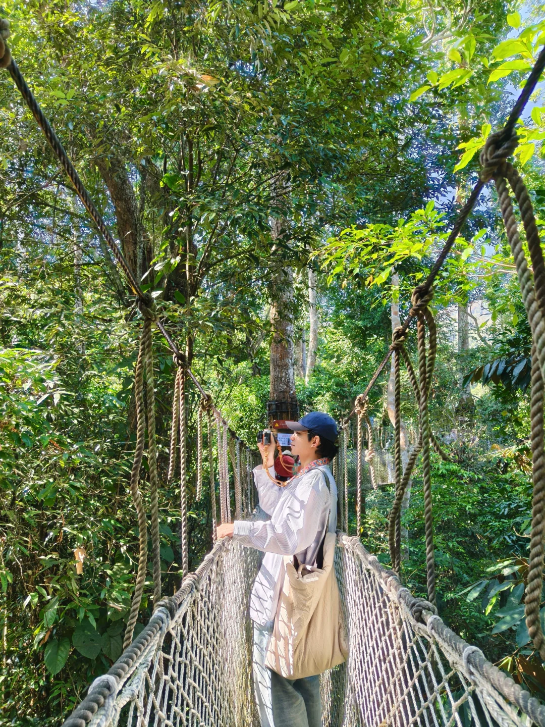 美丽的西双版纳