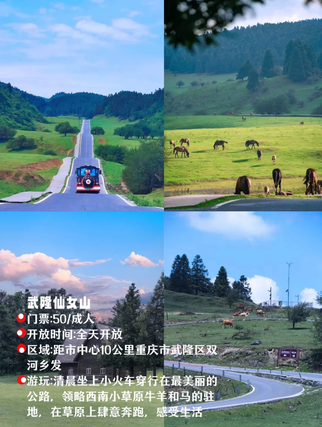 重庆周边游❗️❗️ 8️⃣个被低估的自然景点🏞️