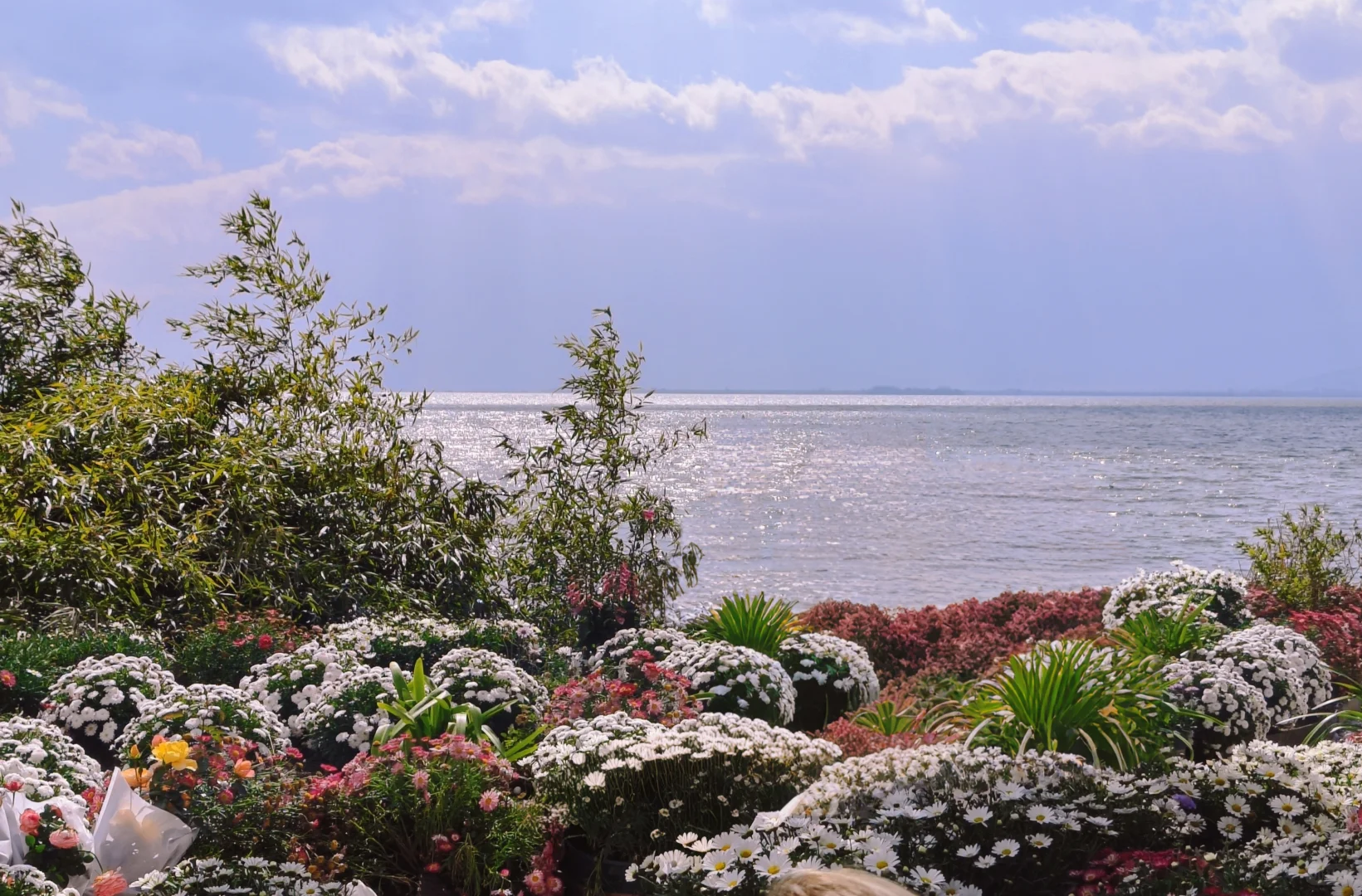 云南五日旅游攻略~昆明-大理-丽江