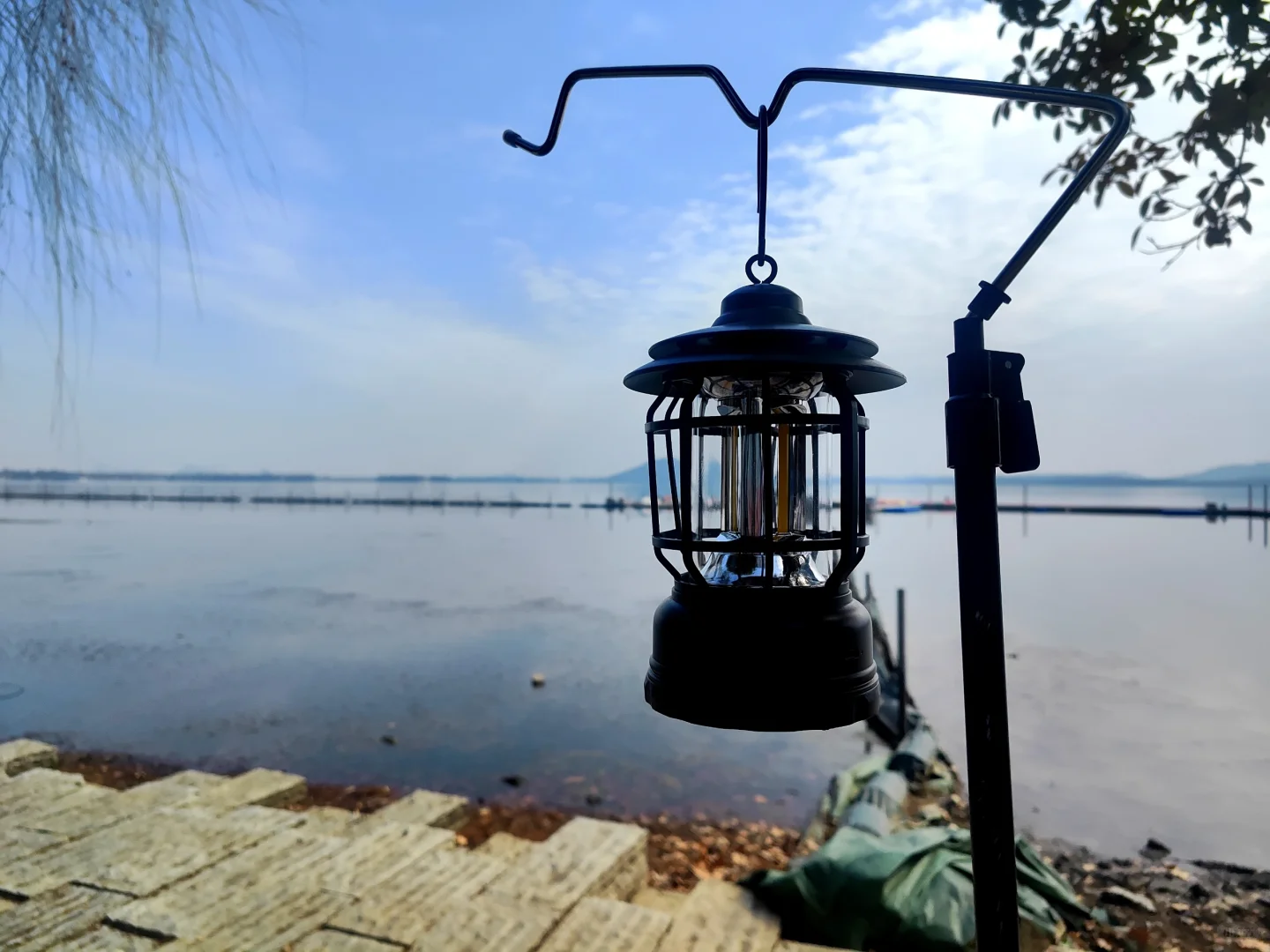 东湖听涛景区的梅花开了,免费!