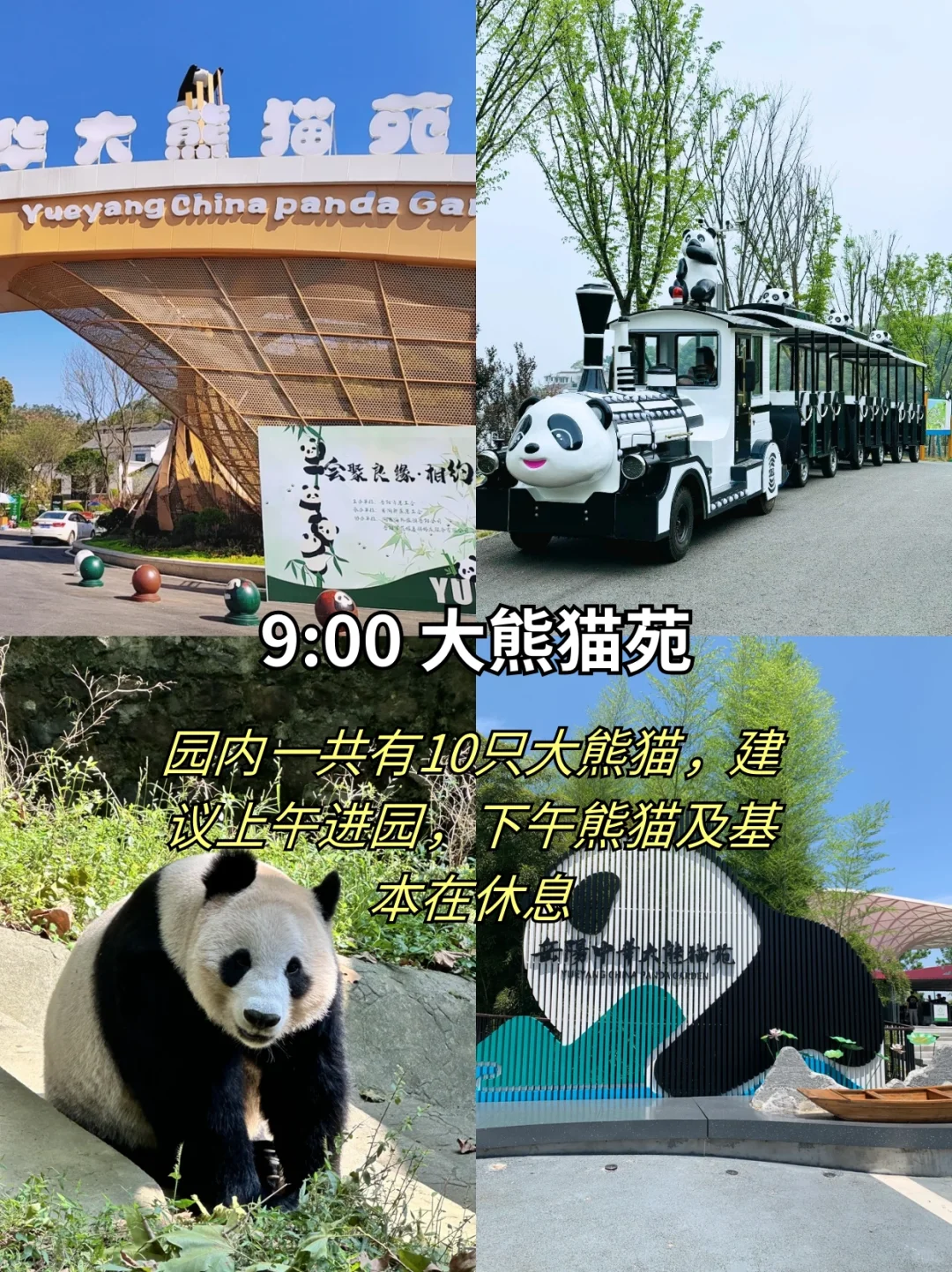 岳阳一日游✔️24小时极限逛完8个景点‼️