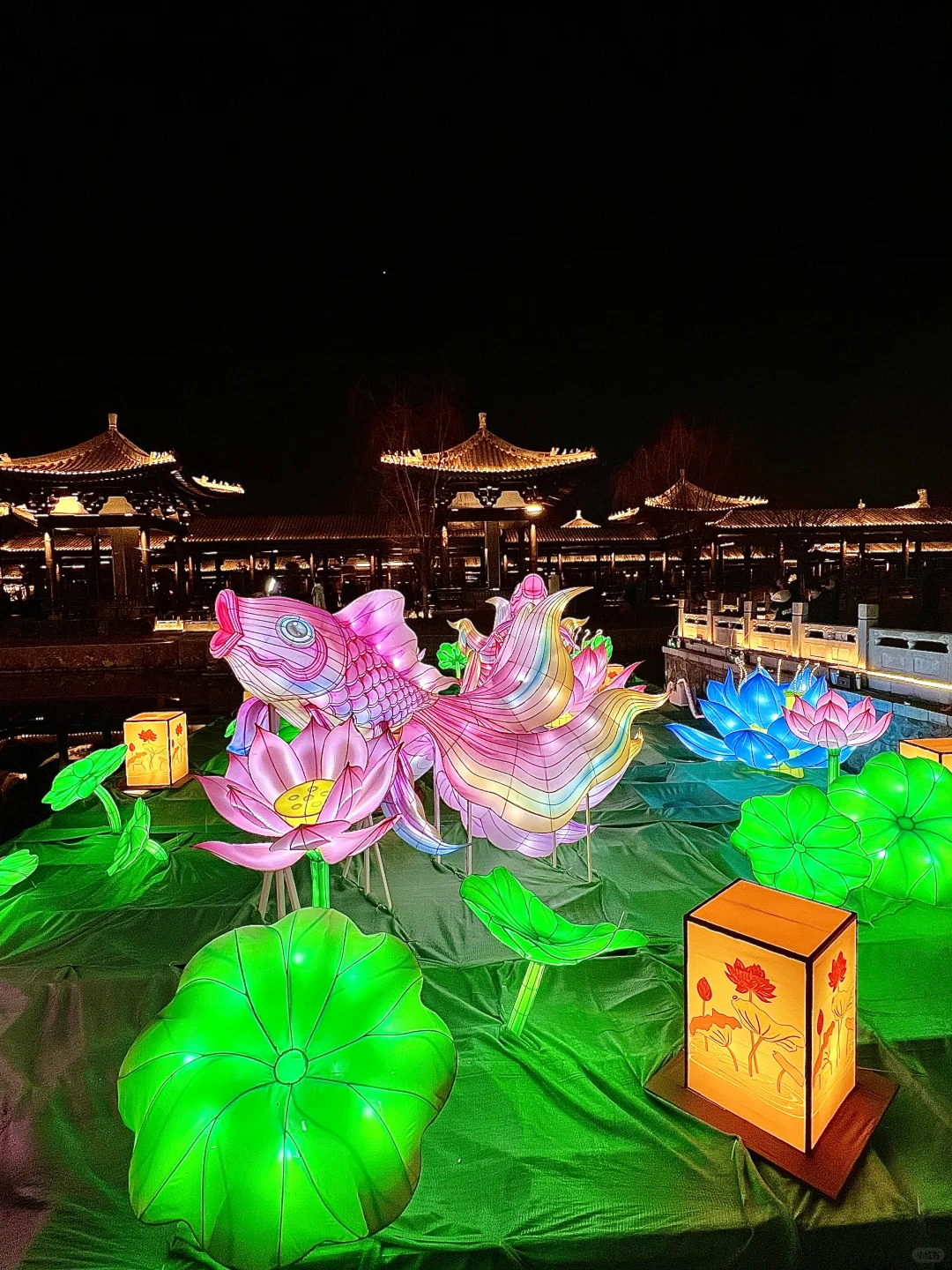 大名县，一个严重被低估了的旅游胜地❗️