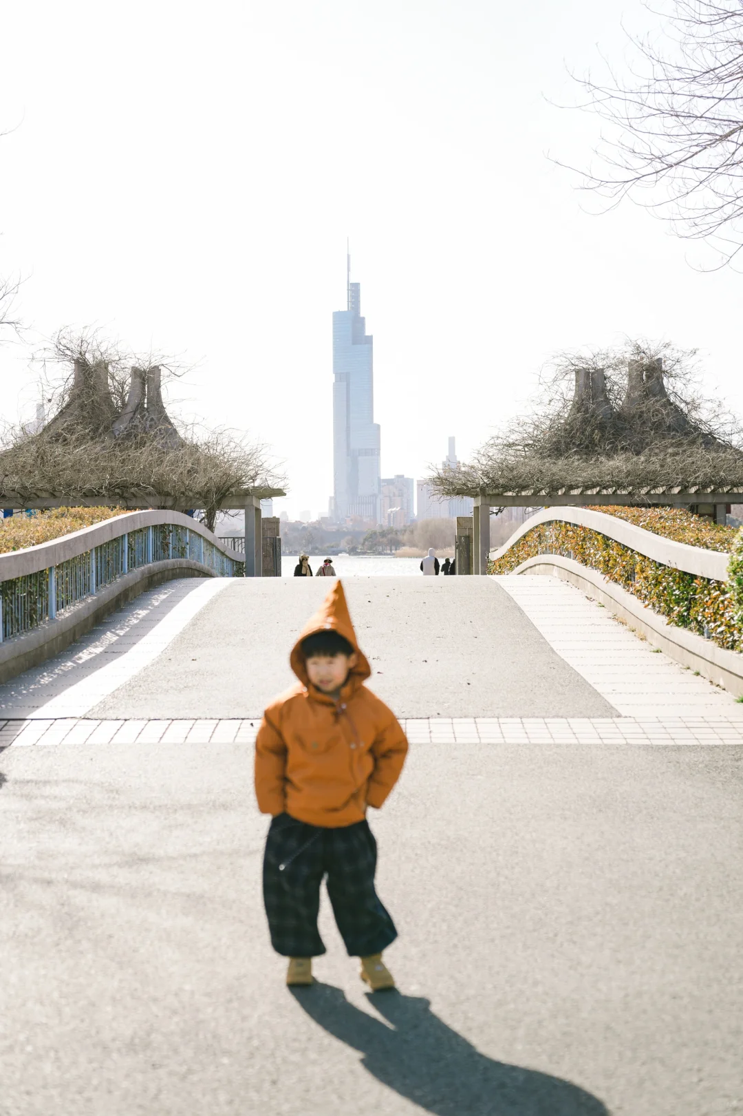 比起音乐台的鸽子，南京本地人更爱去这里