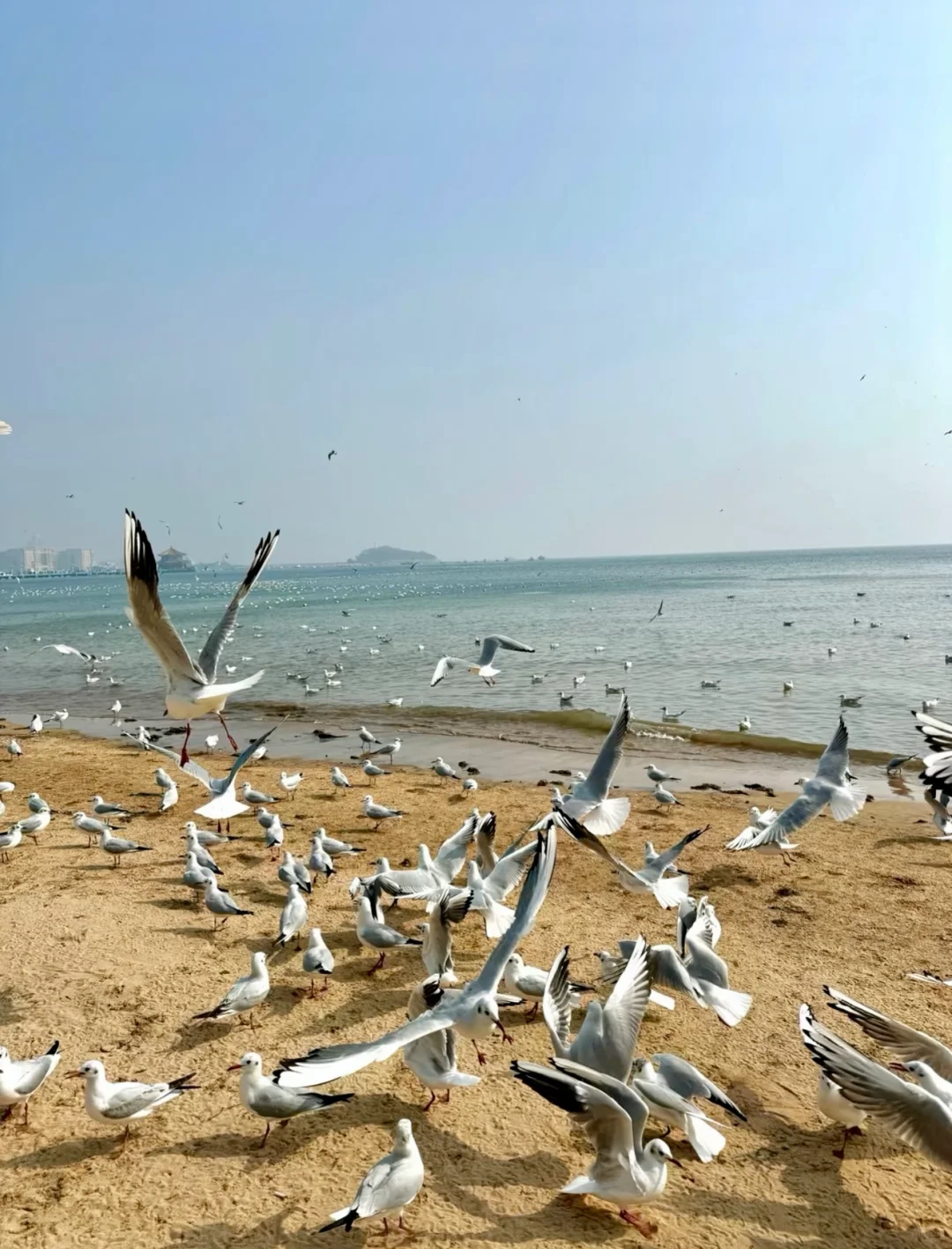 03女大📍青岛/两天一夜精华版旅游攻略❗️