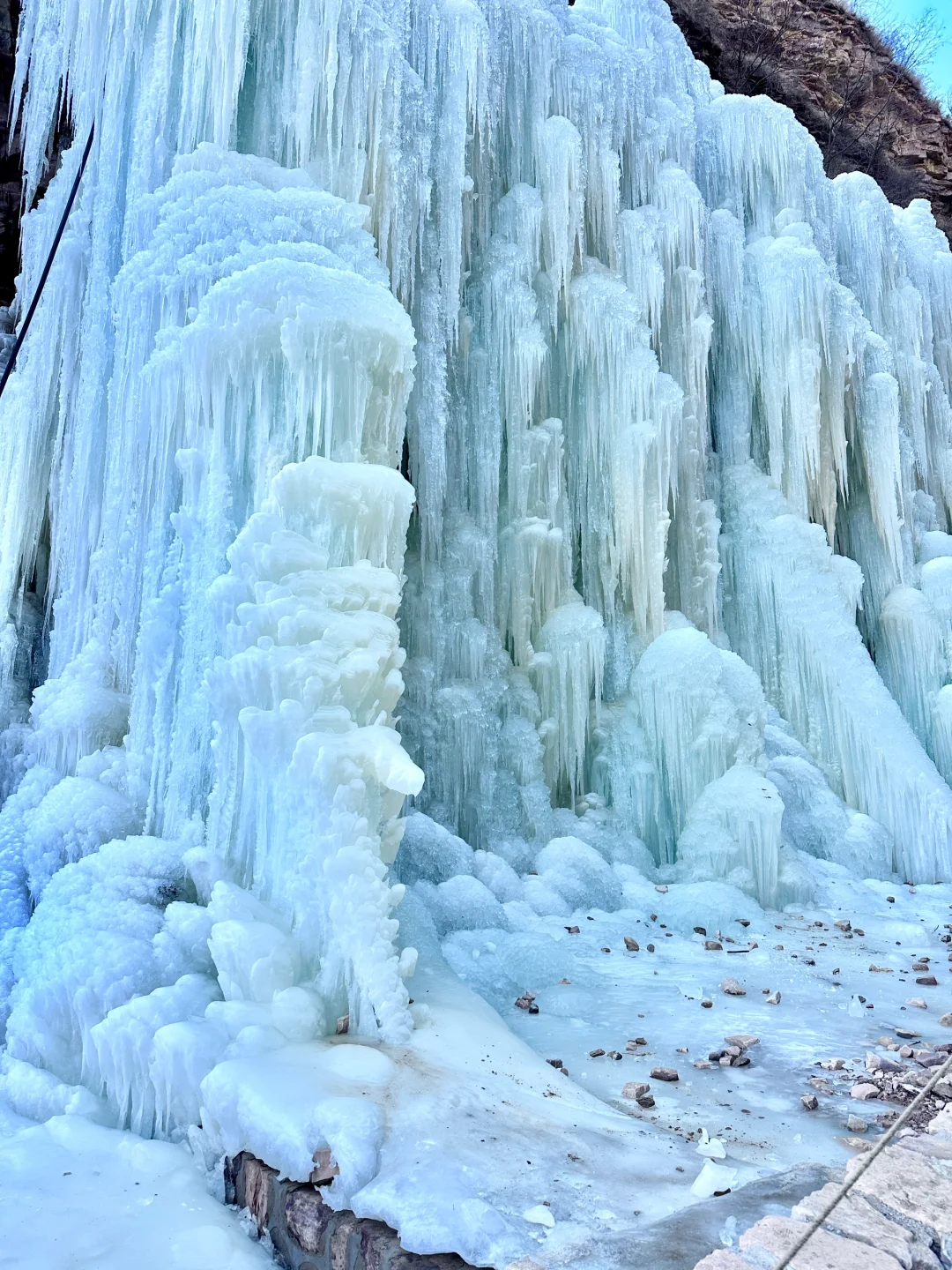邯郸武安冰封玫瑰