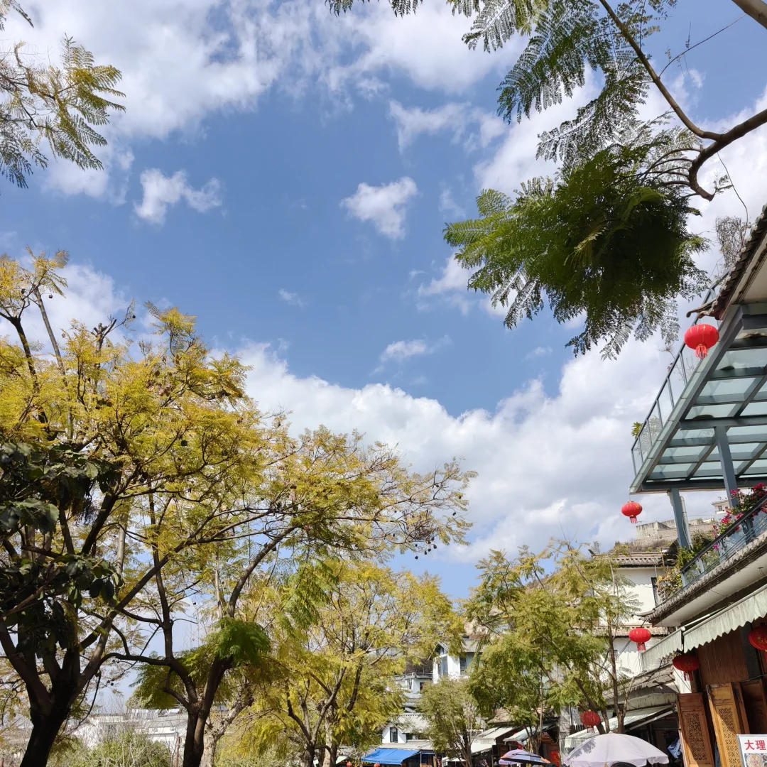 云南五日旅游攻略~昆明-大理-丽江