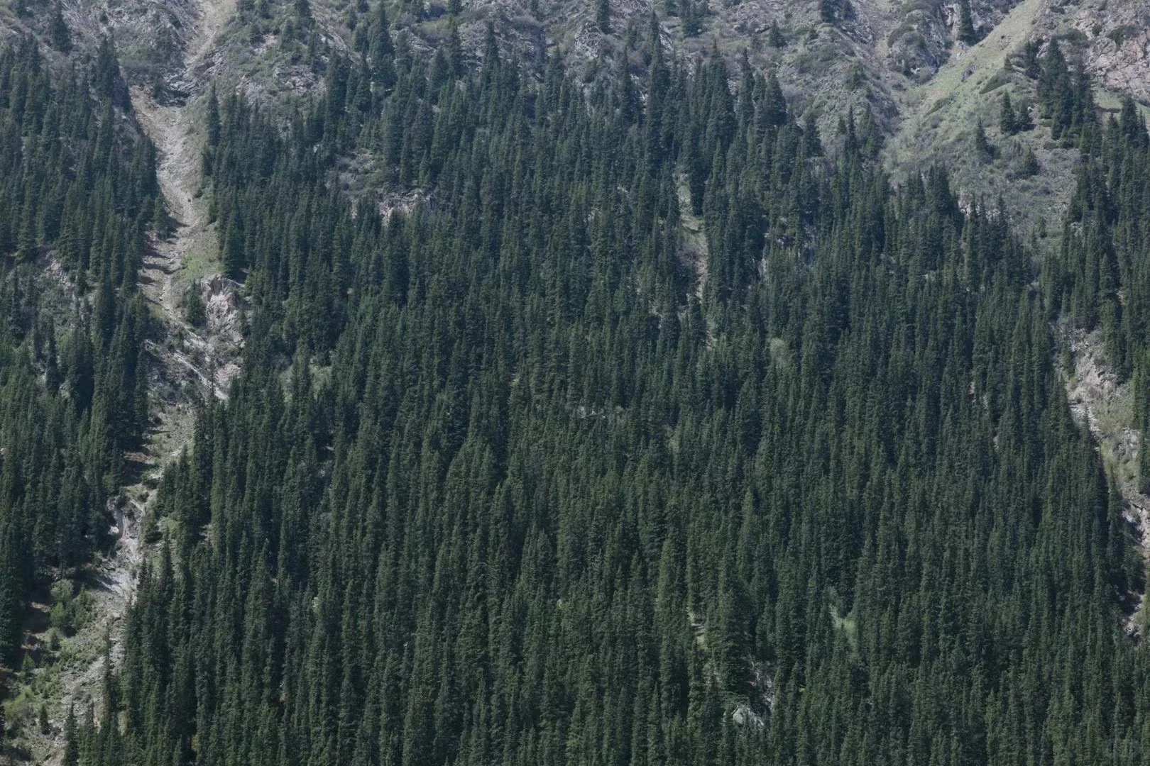 新疆伊犁·夏塔古道