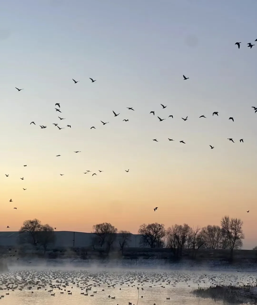 本地人强推！呼和浩特包车打开小众景点