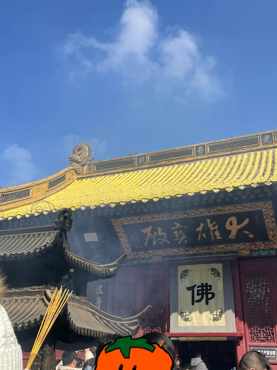 🙏普陀山不早起暴走攻略｜7h解锁精华景点✅