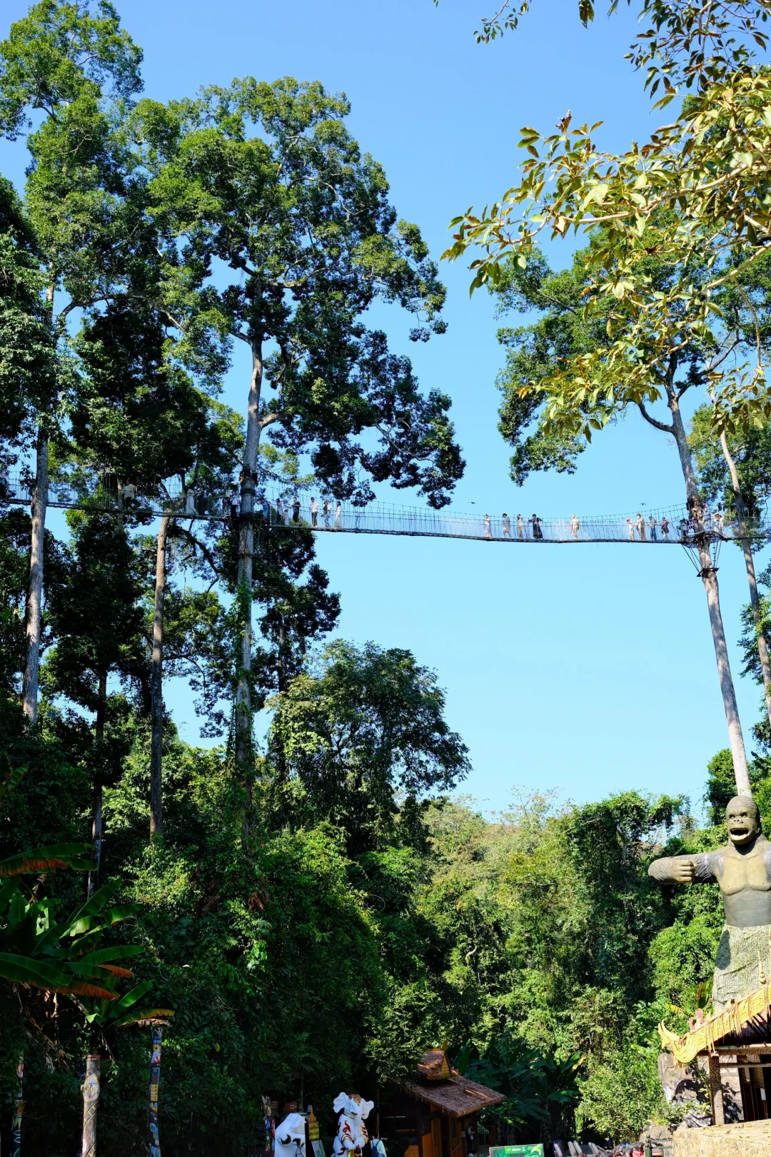 美丽的西双版纳