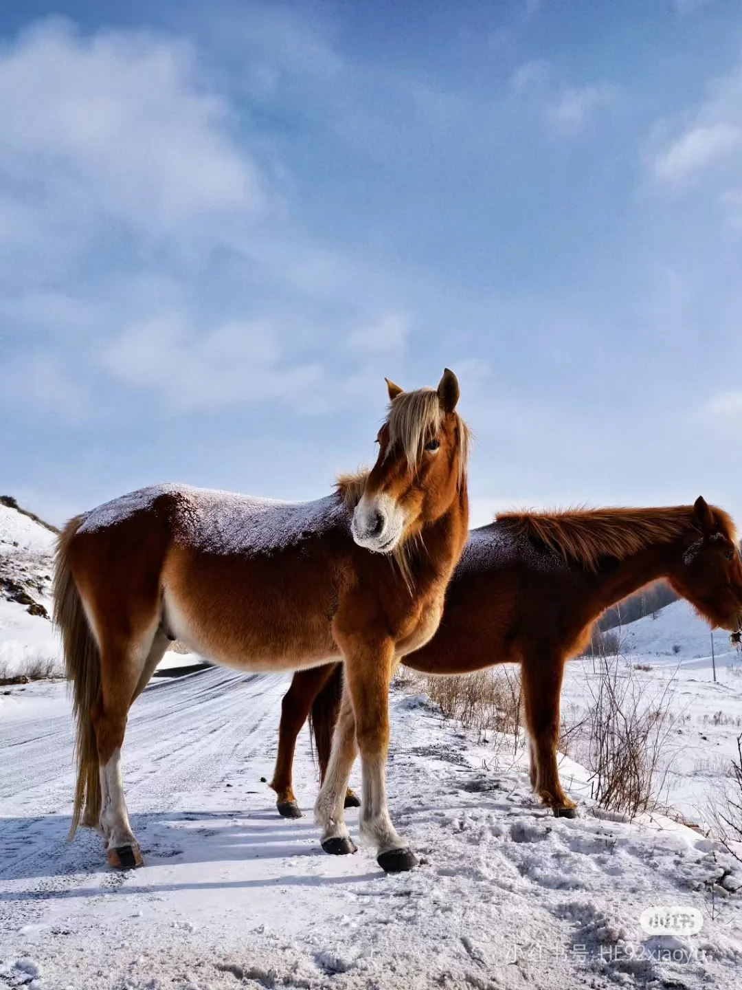 本地人强推！呼和浩特包车打开小众景点