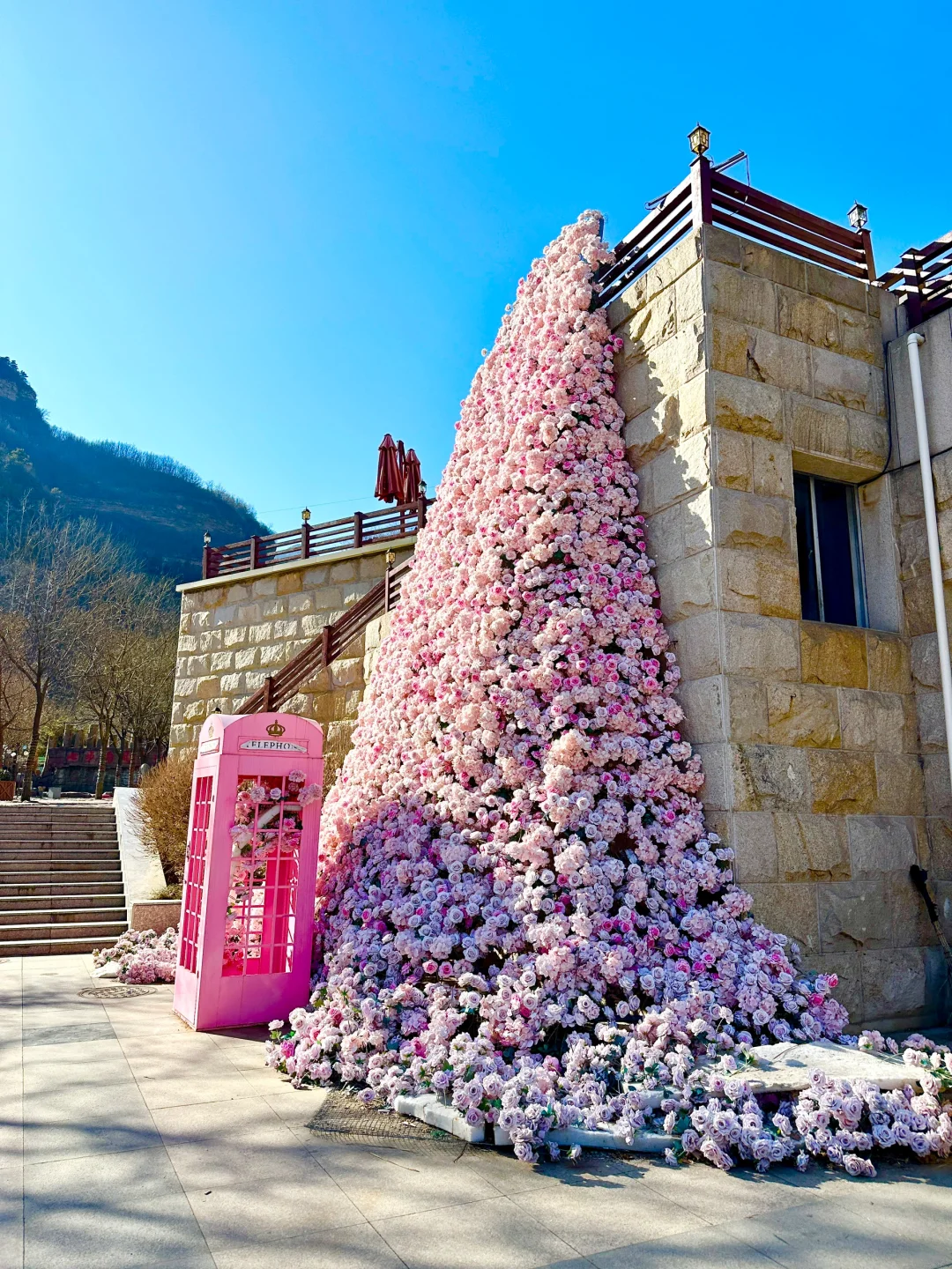 邯郸武安冰封玫瑰