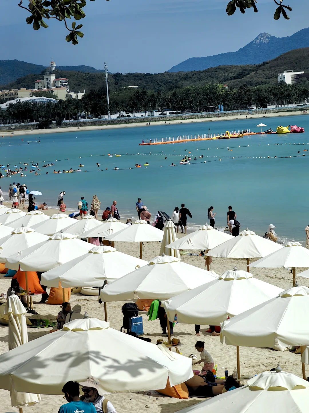 去三亚消费观崩塌了……几个月工资白攒😭