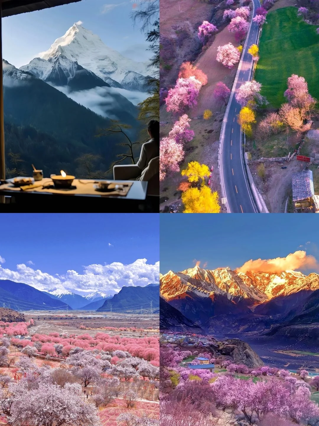 🌸春日限定🌸 林芝桃花线路4日攻略