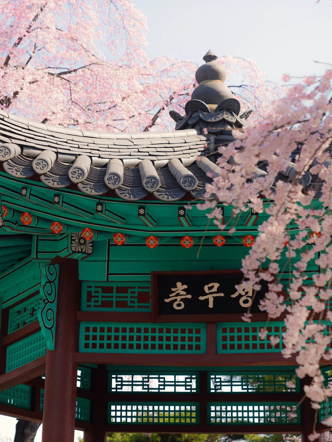 男朋友做的首尔旅游攻略💗理工男逻辑好强