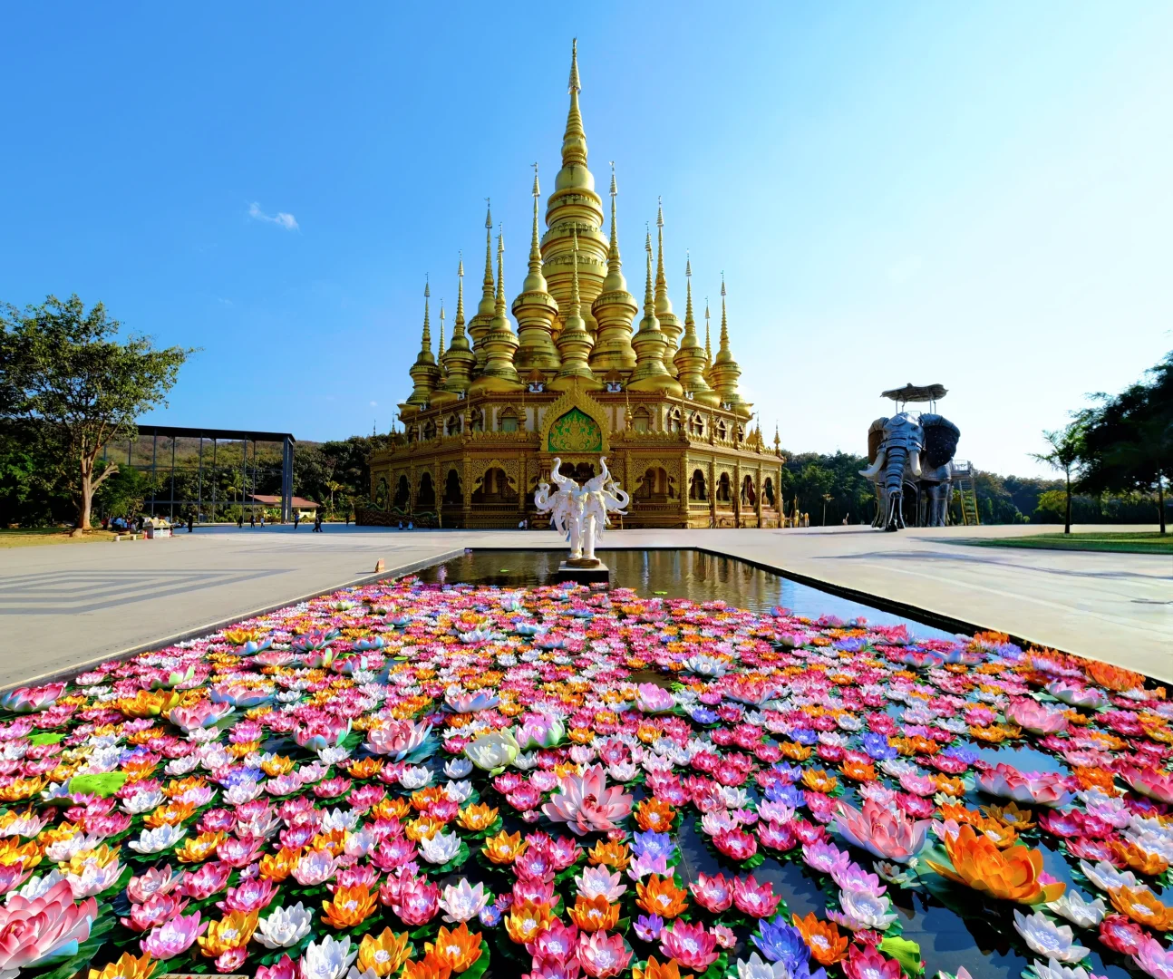 美丽的西双版纳