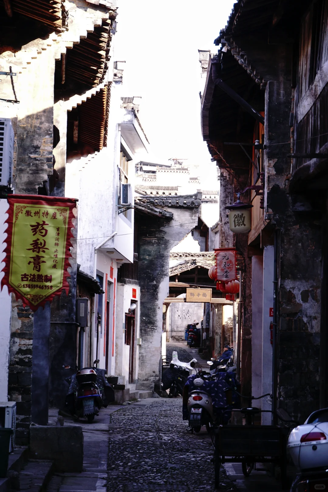 村里老板发来消息:卖花渔村梅花，全开了！