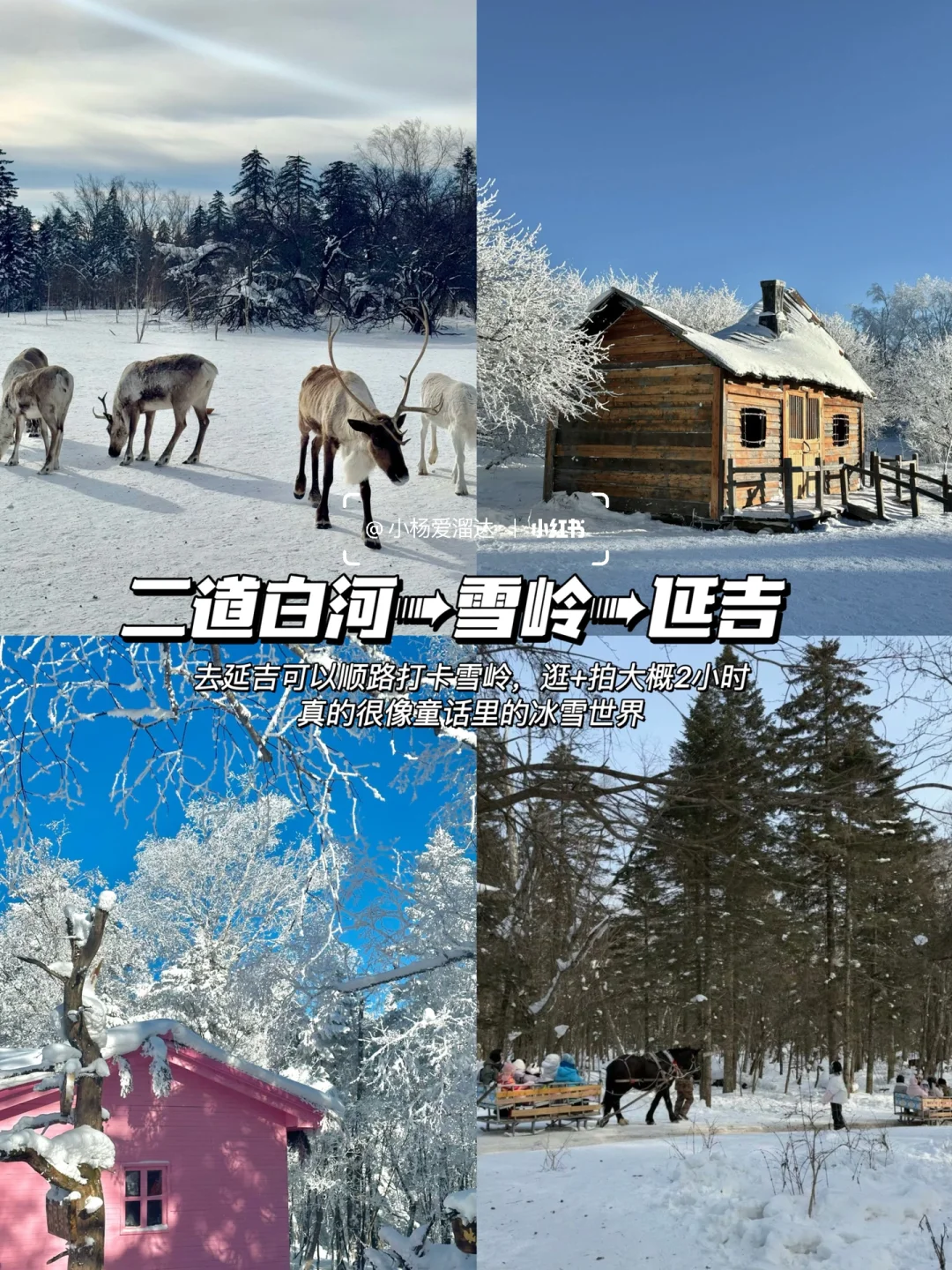 长白山天池关闭，本地人告诉你怎么玩！码住！