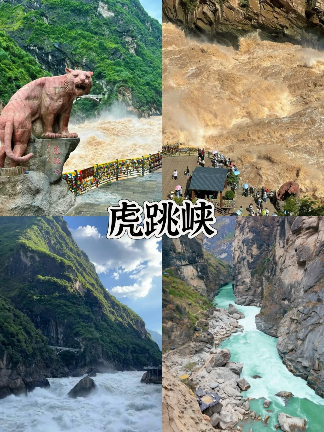 云南必去的十个景点游玩攻略🔥