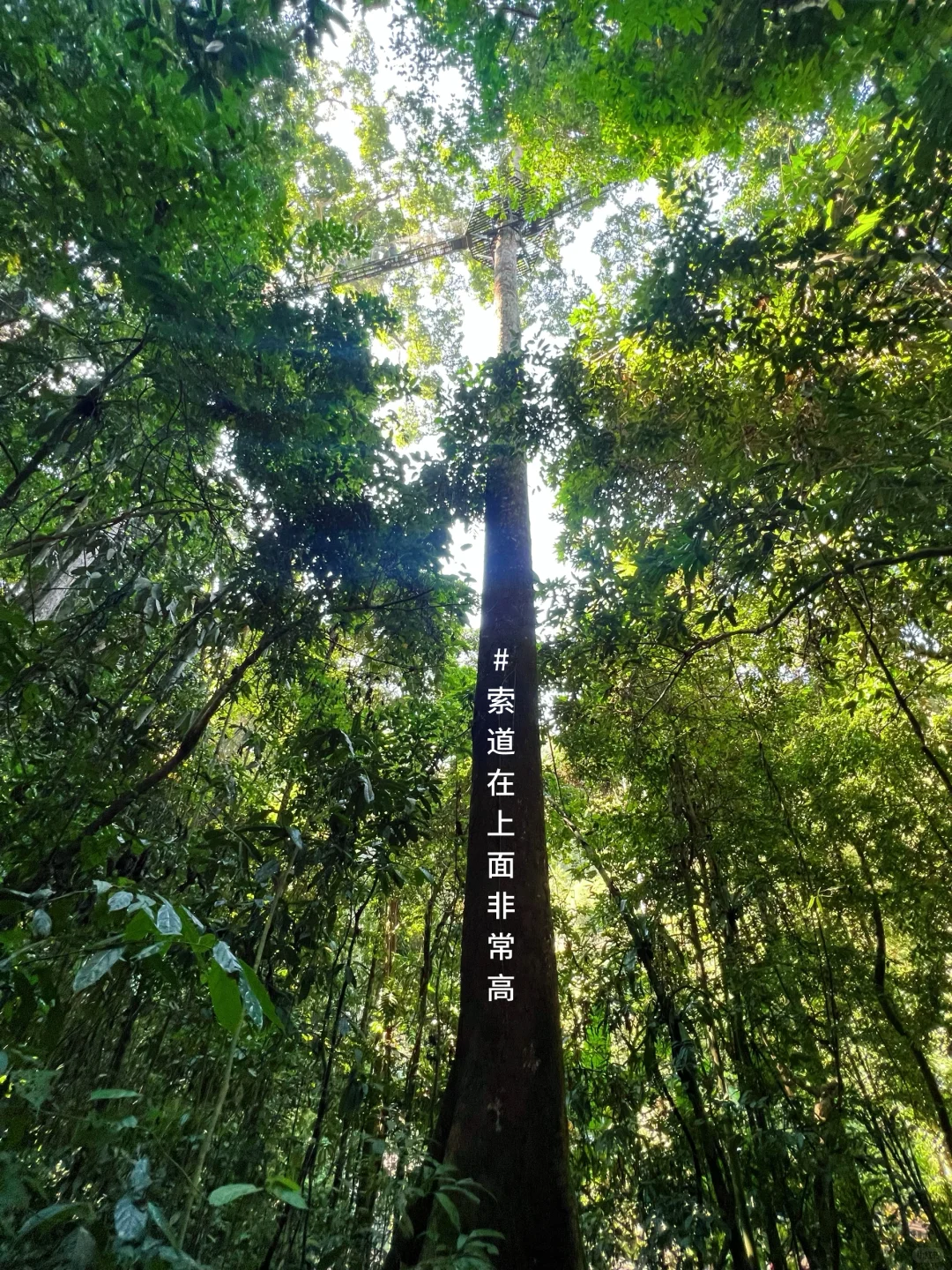 美丽的西双版纳