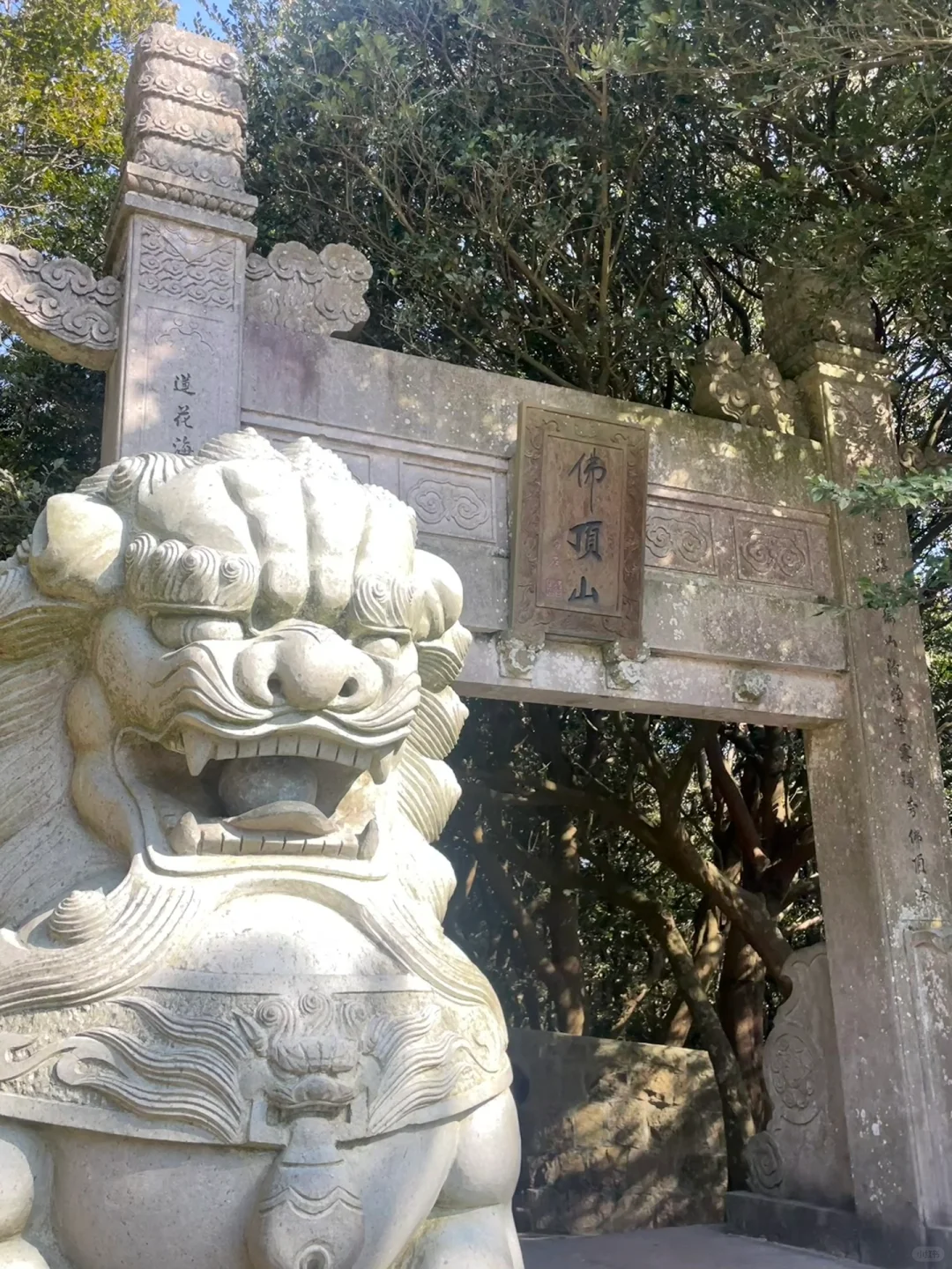 🙏普陀山不早起暴走攻略｜7h解锁精华景点✅