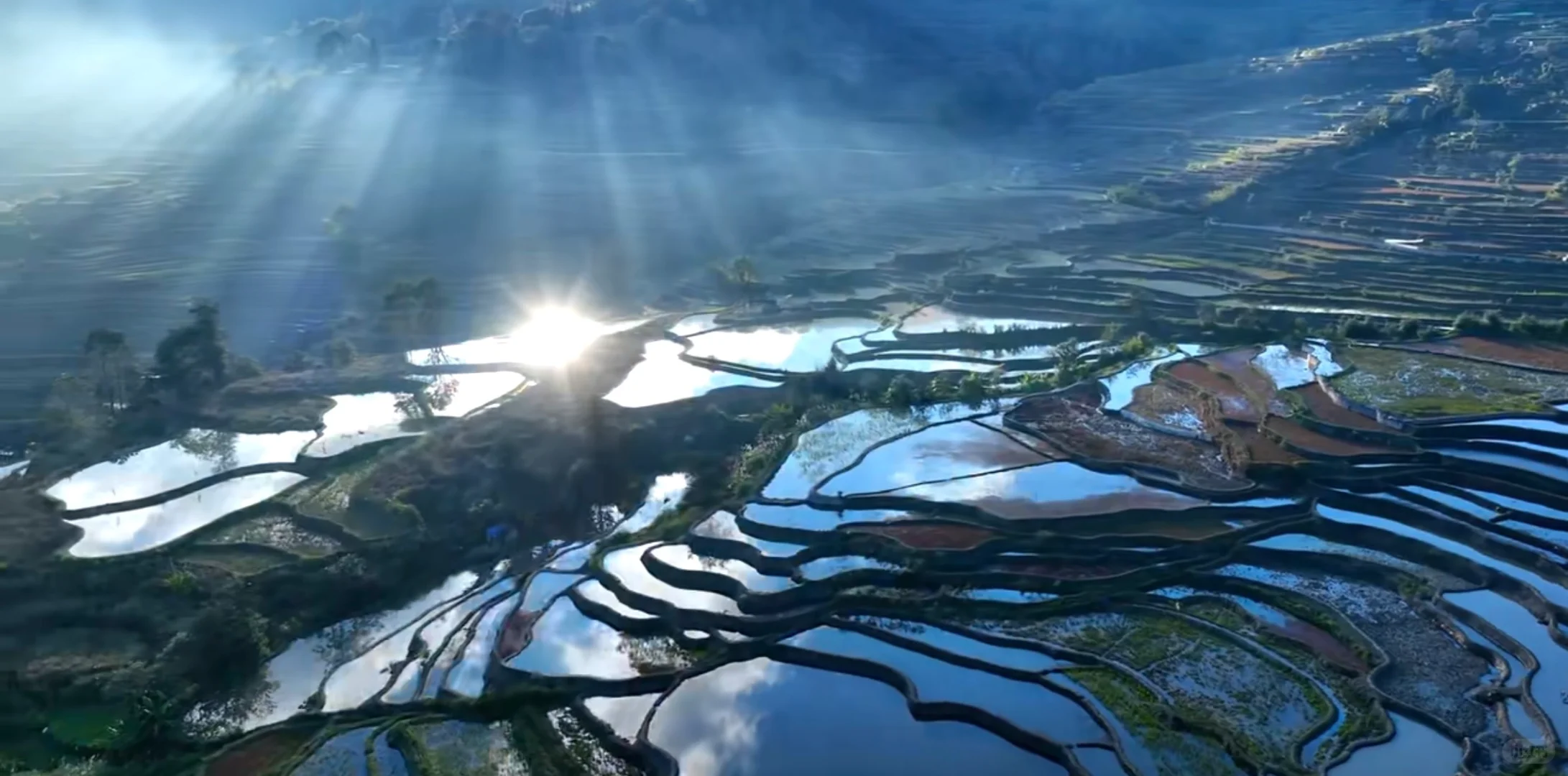 🌟 云南元阳梯田｜人均800+玩转人间仙境！