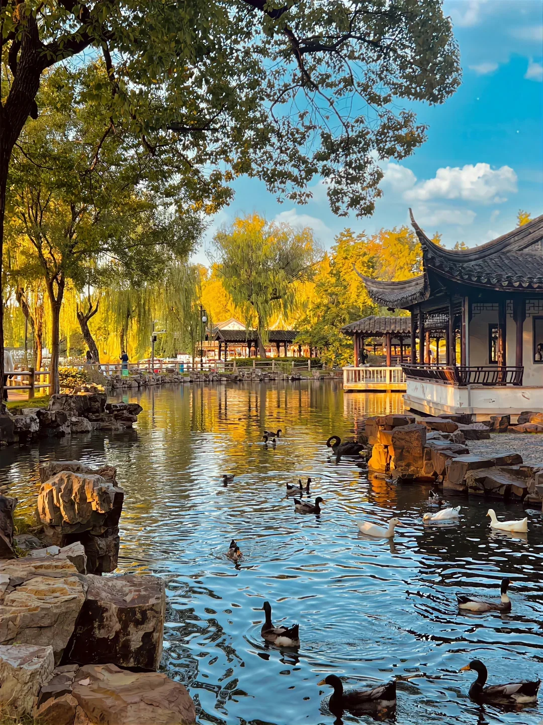 苏州 | 超详细的旅游攻略🌆