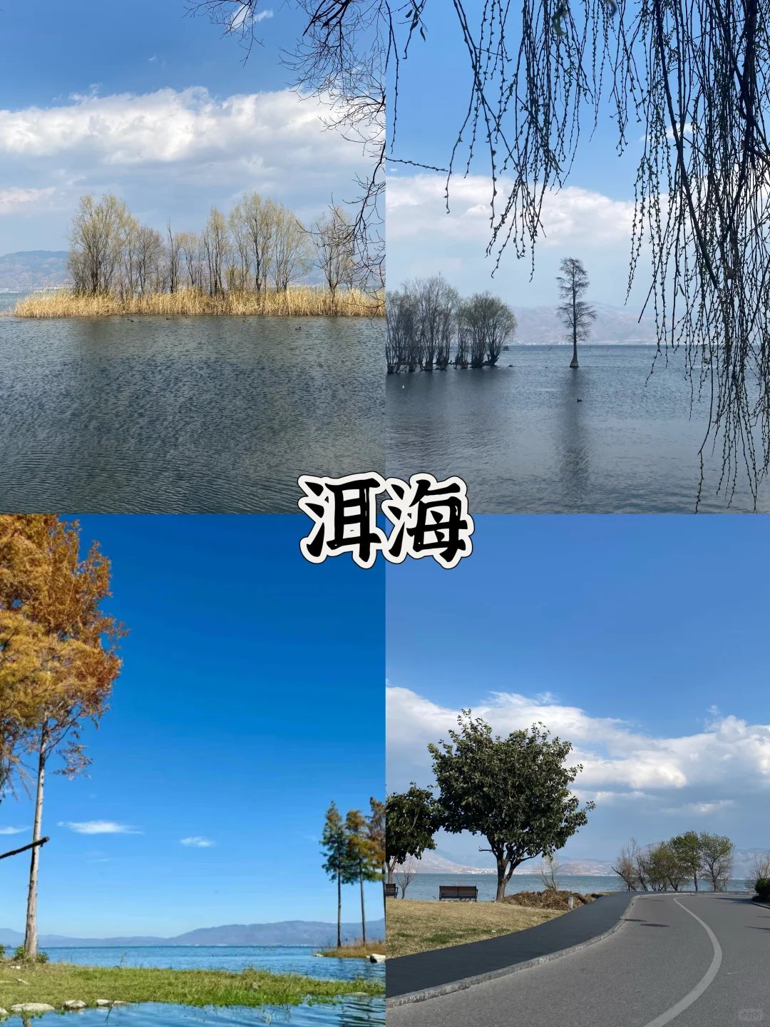 云南必去的十个景点游玩攻略🔥